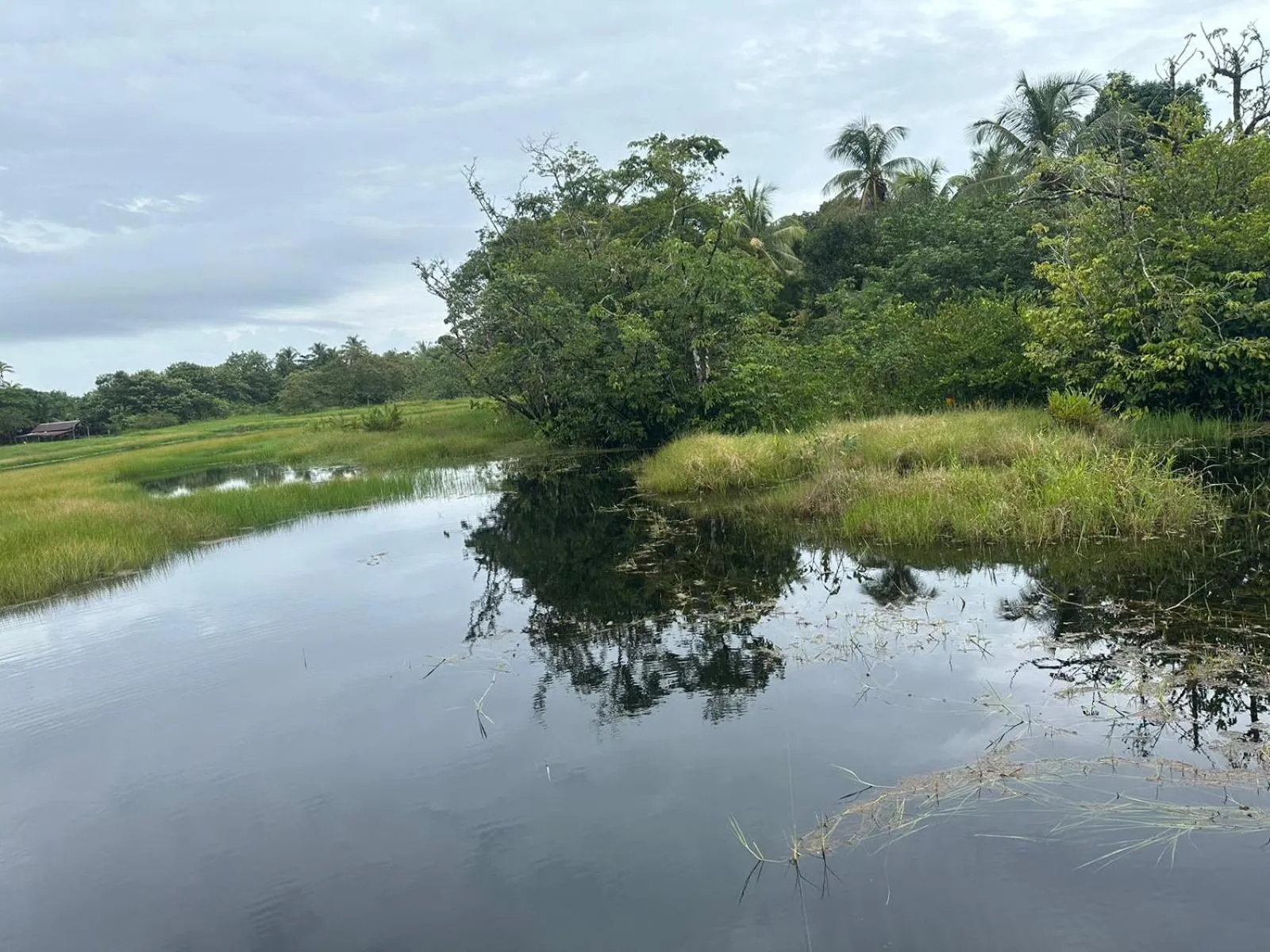 Natural landscape in Hotel Serendipity