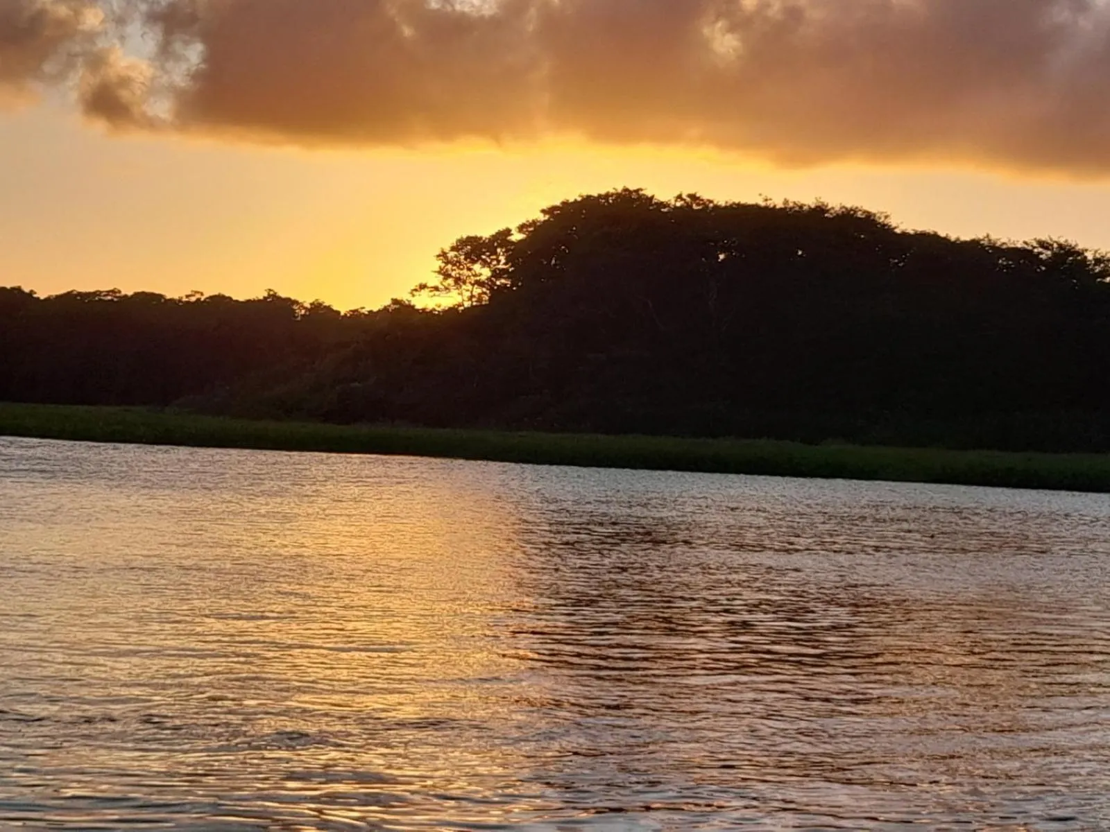 Natural landscape in Hotel Serendipity