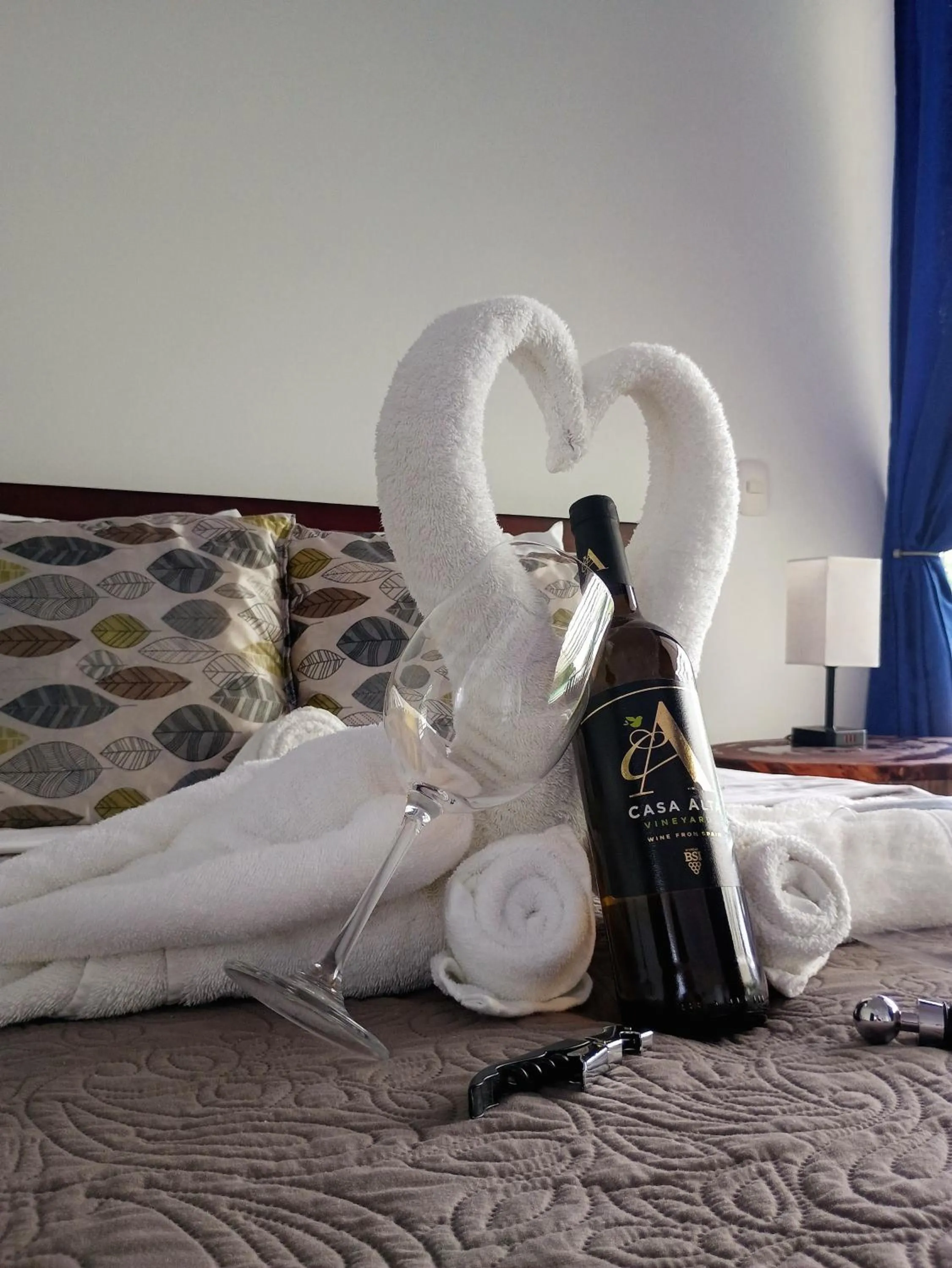 Drinks, Bed in Hotel Serendipity