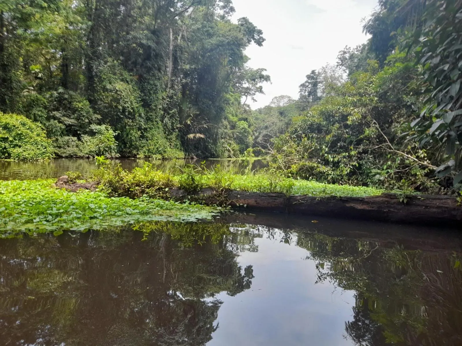 Natural landscape in Hotel Serendipity