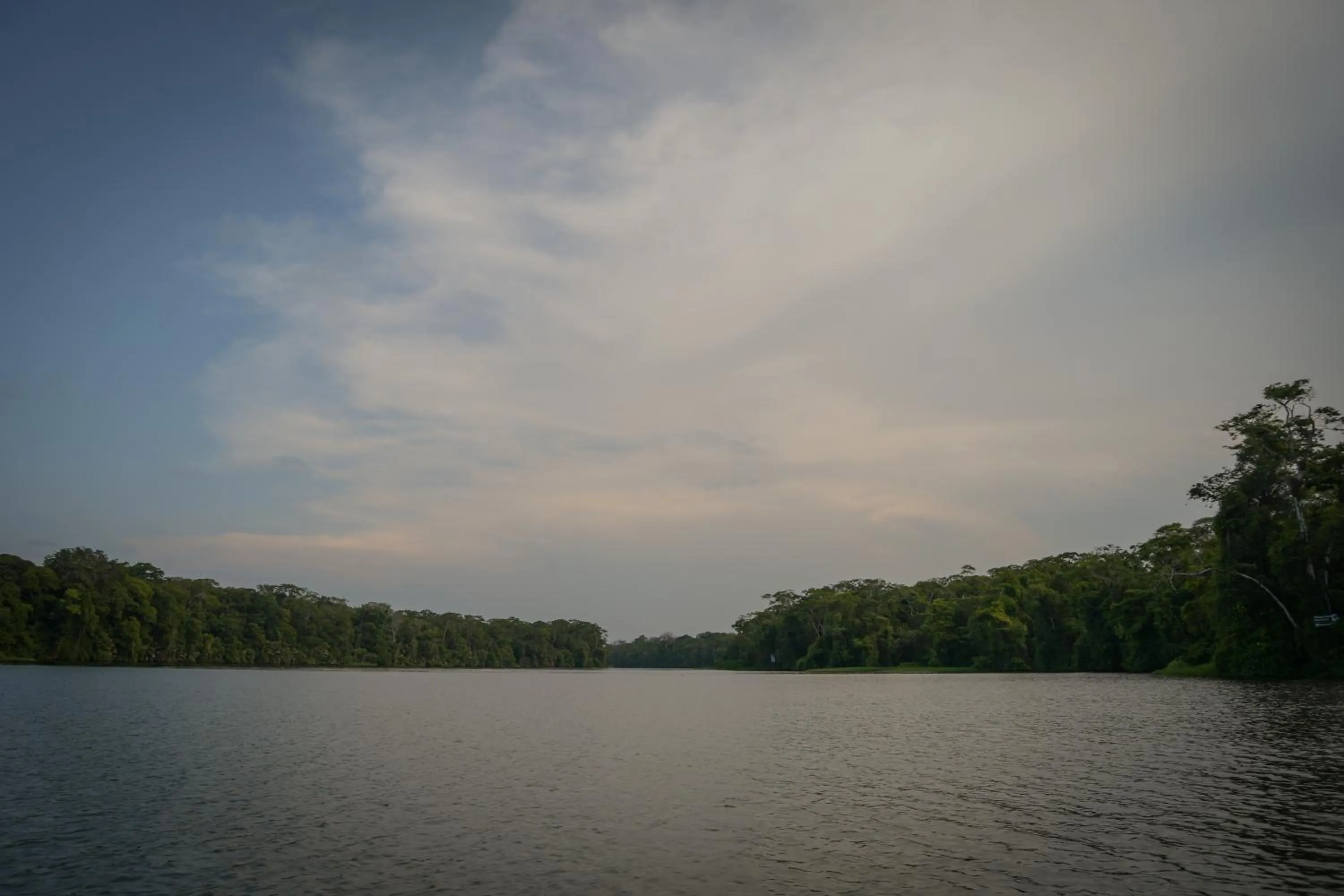 Natural landscape in Hotel Serendipity