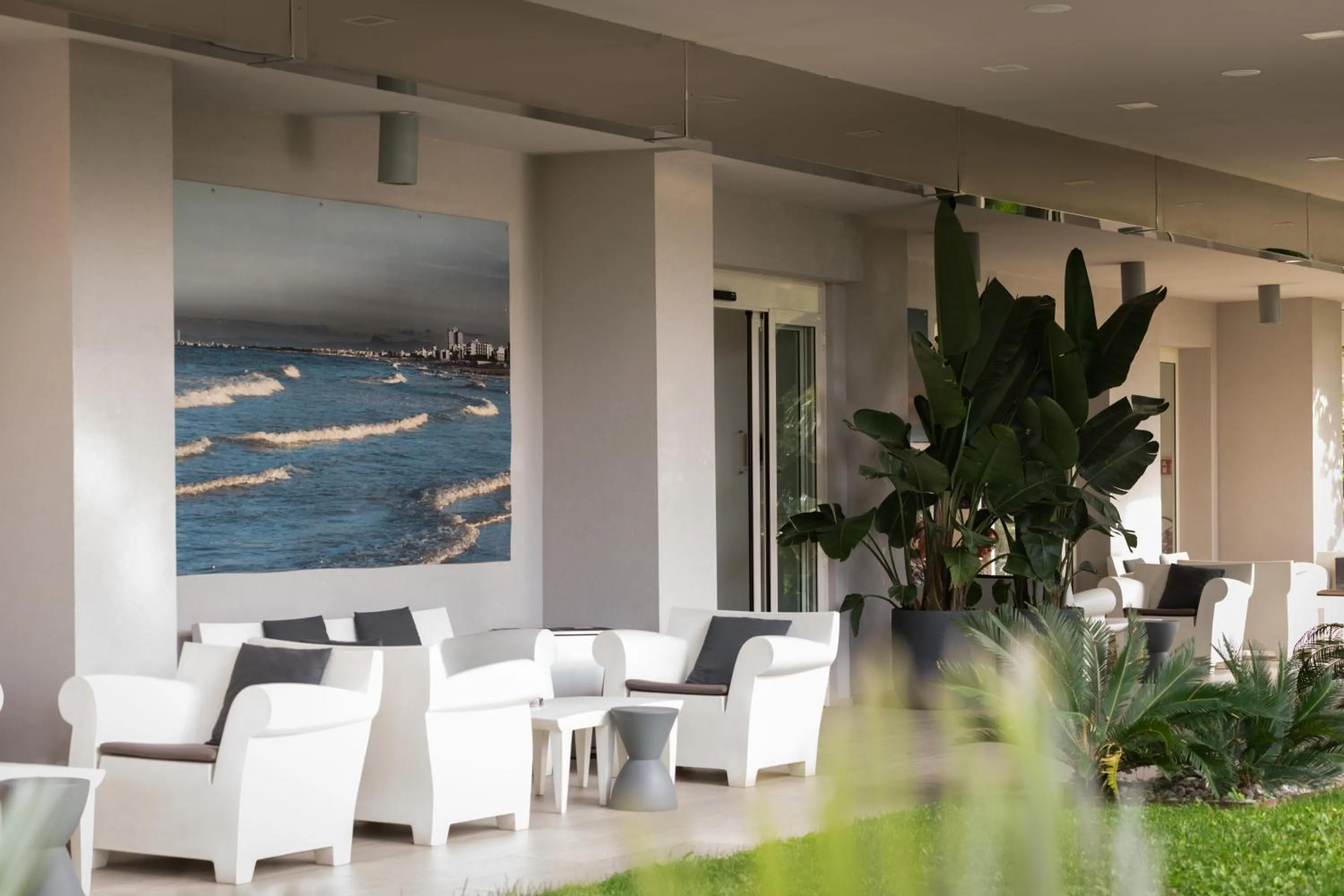 Garden in Perla Verde Hotel