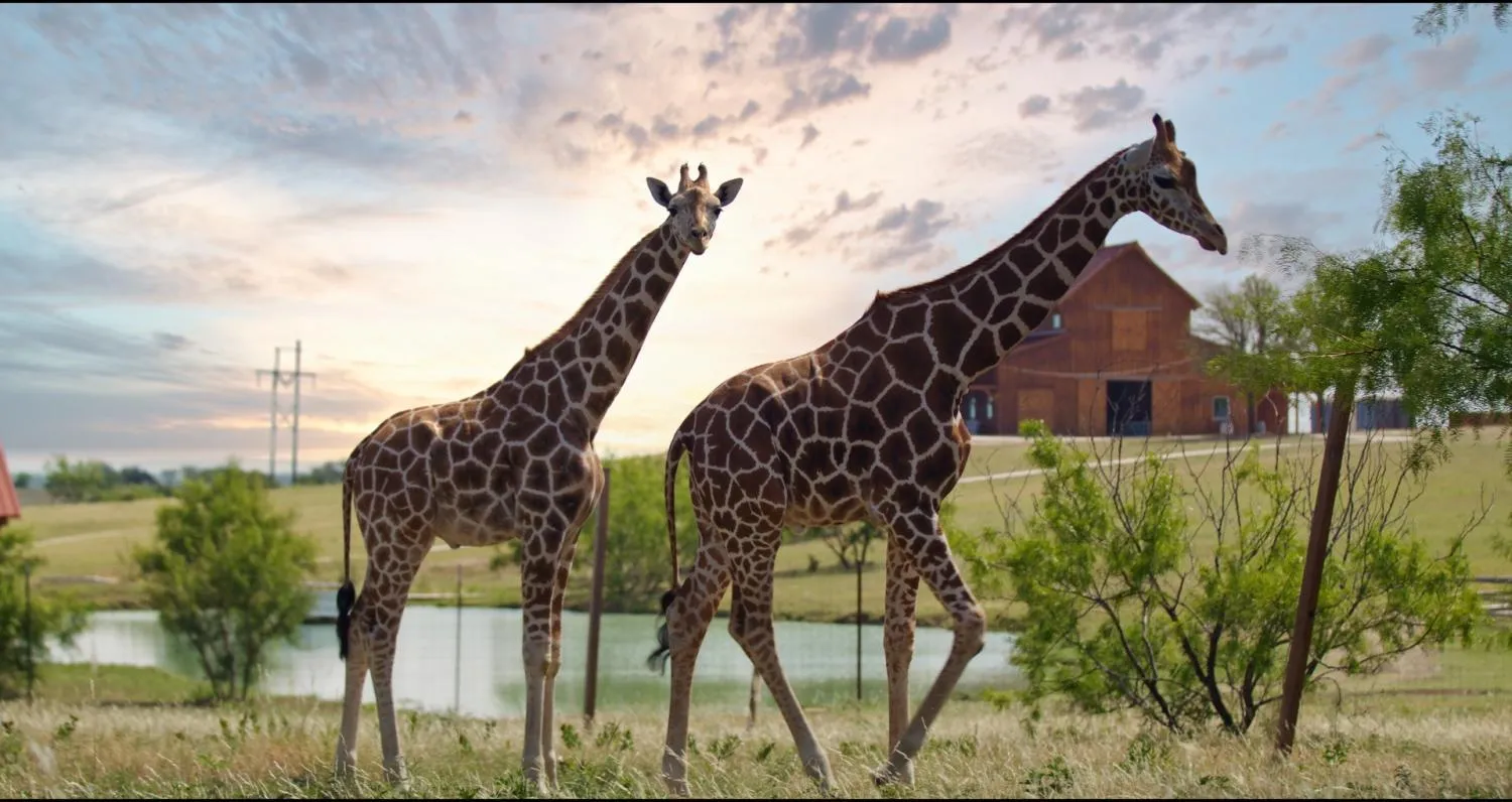Natural landscape in Blue Hills Ranch