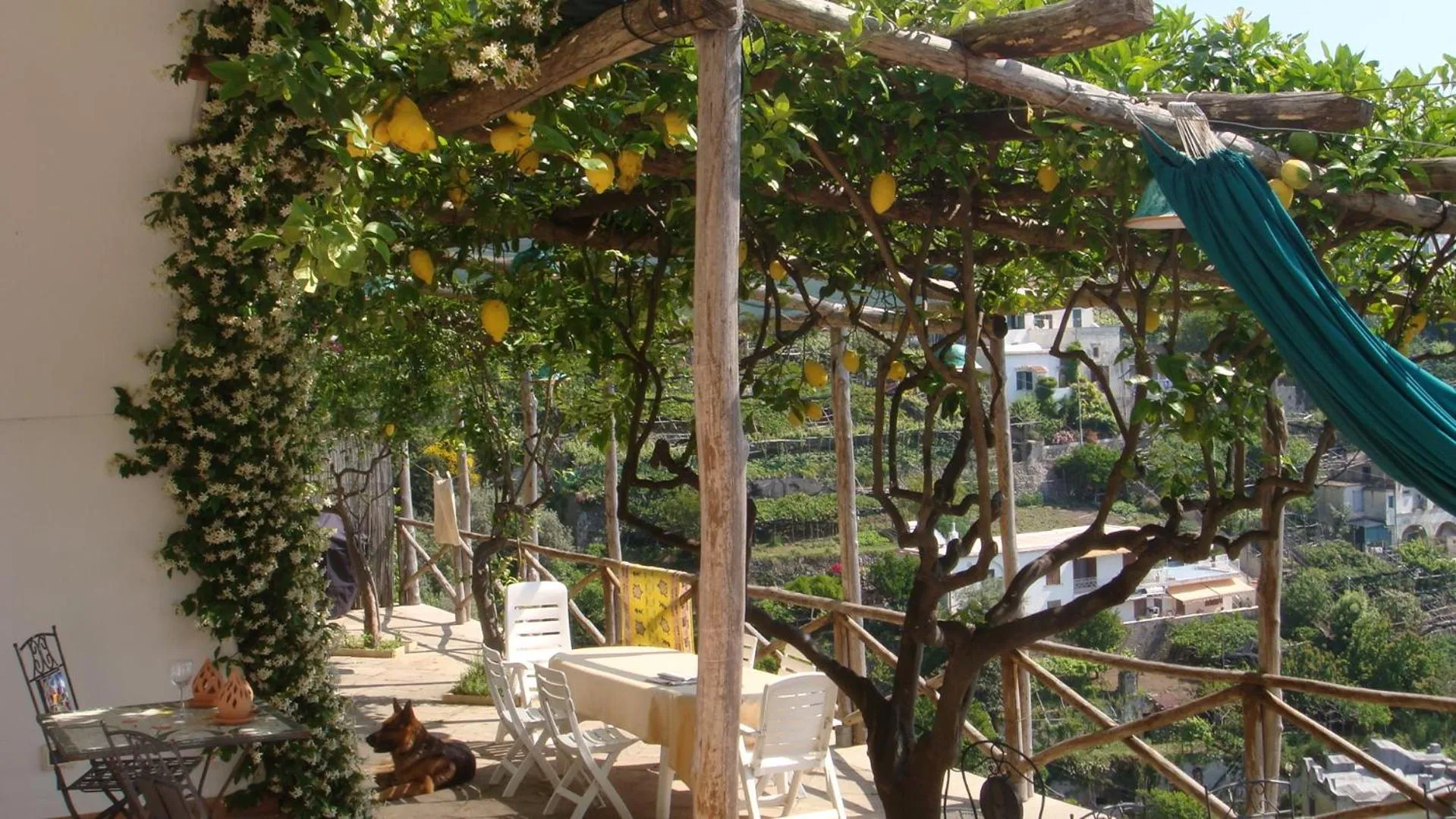 Restaurant/places to eat in Villa Rina