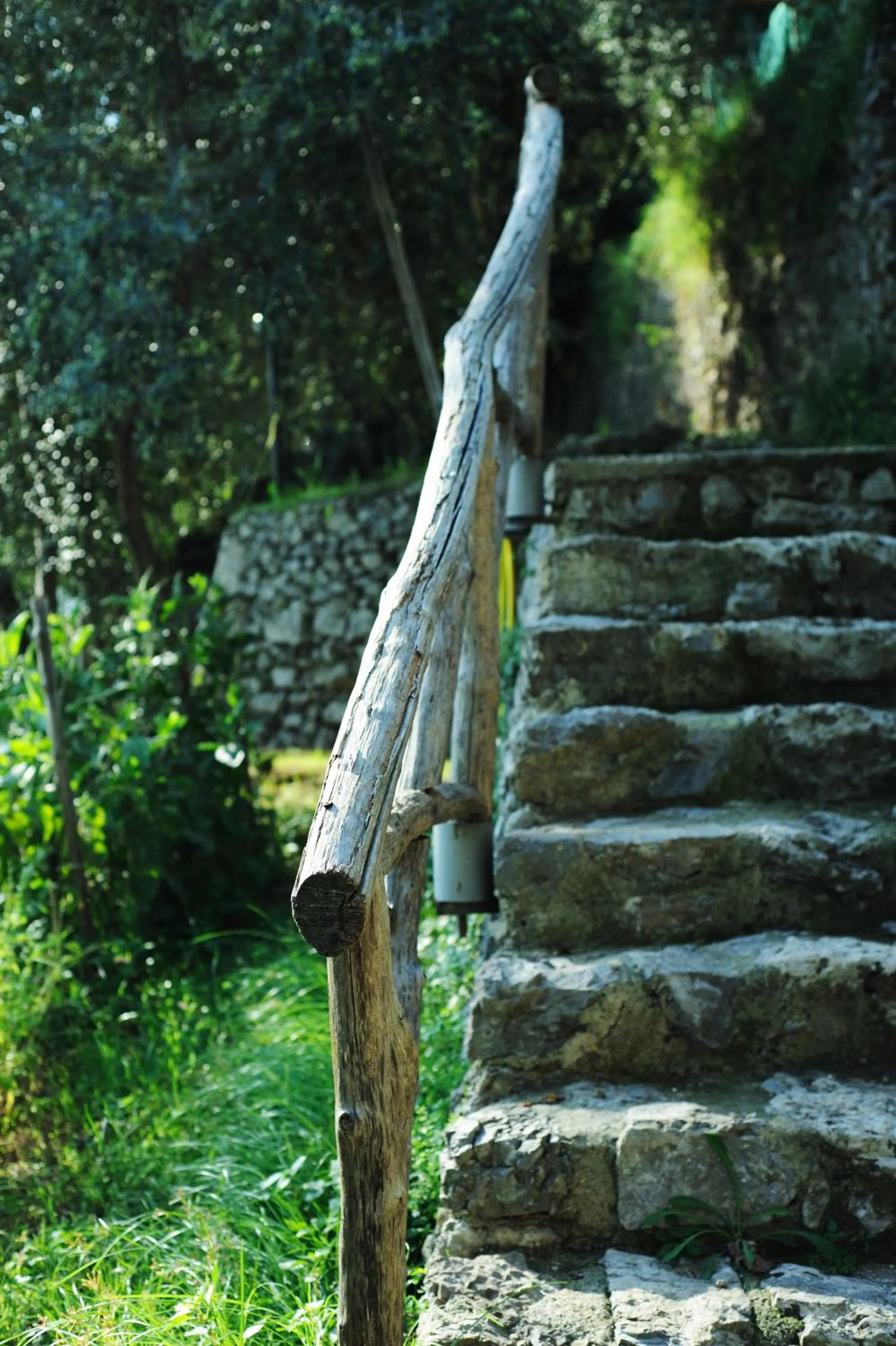 Garden in Villa Rina