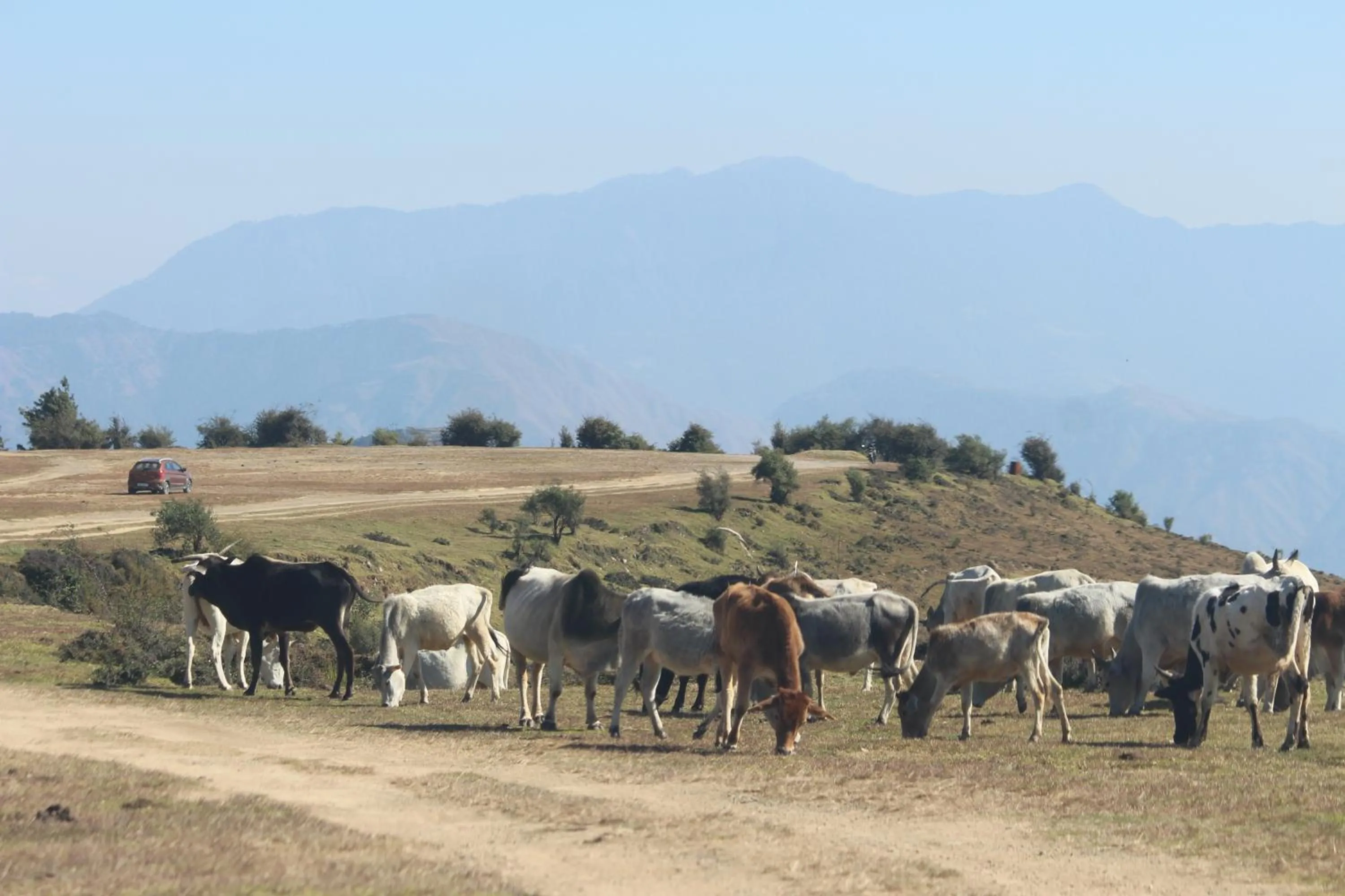 Mountain view in Veda Inn