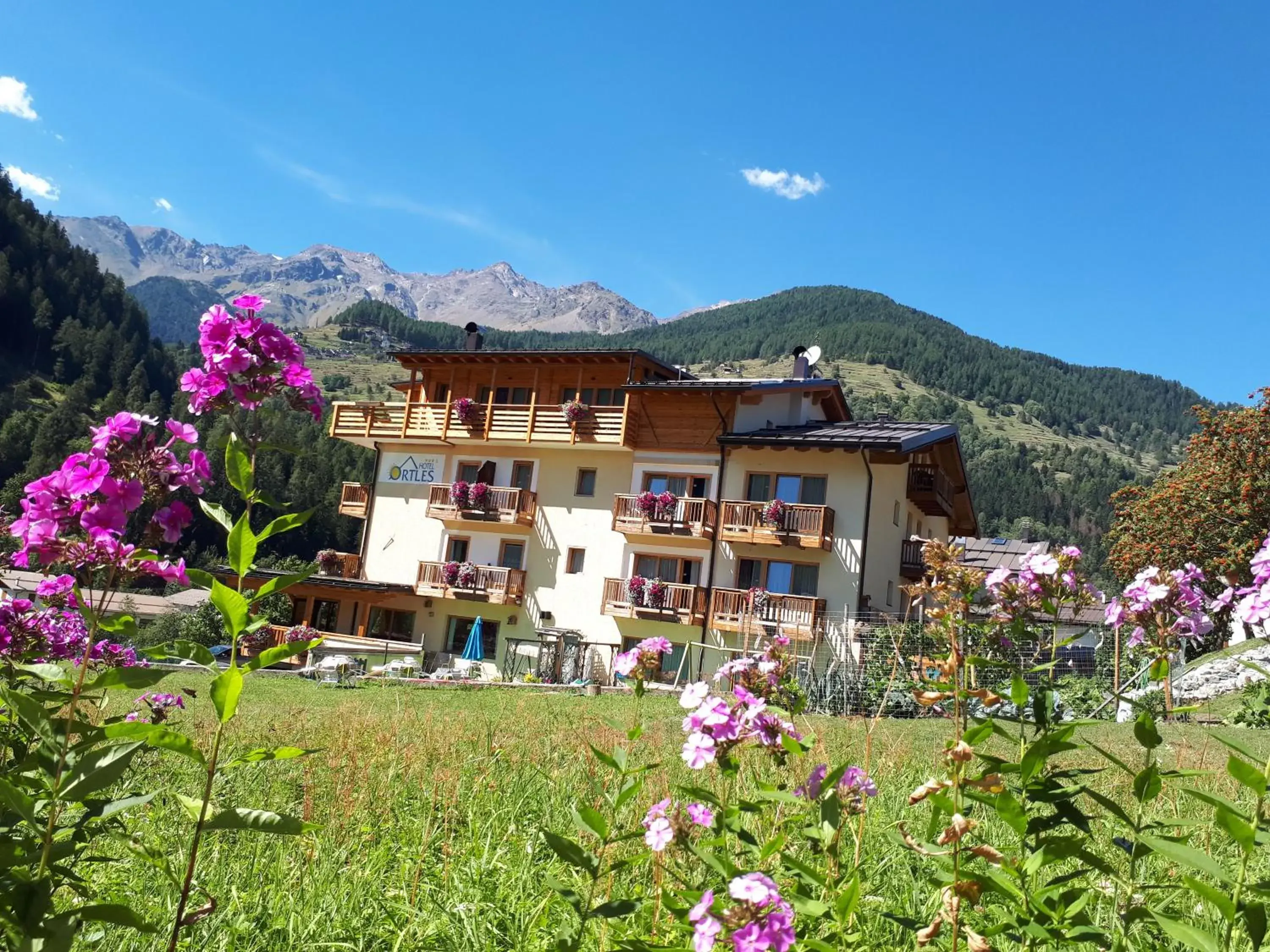 Hotel Ortles Dolomiti Walking & Spa Hotel Ortles Dolomiti Walking & Spa