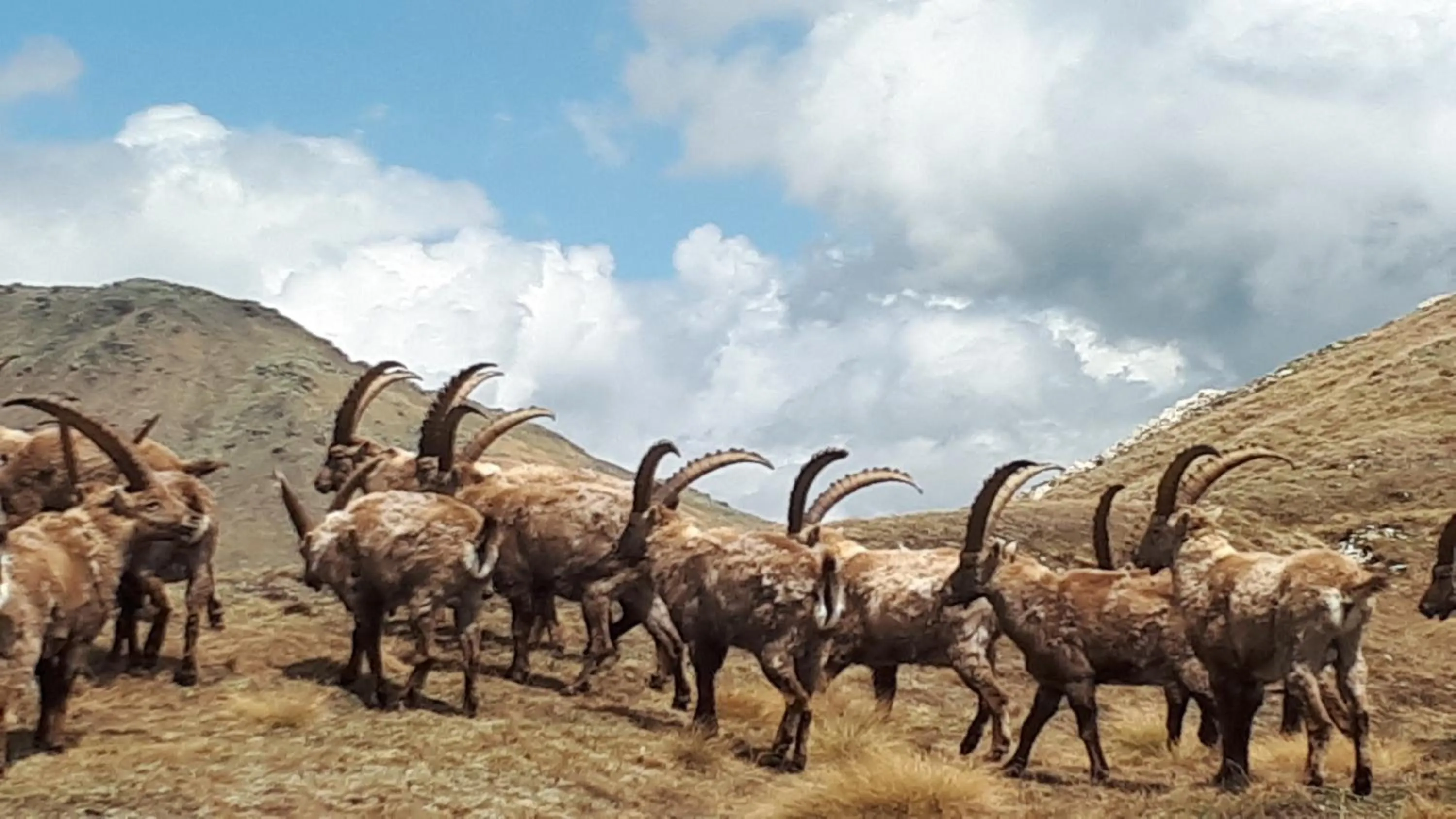 Day in Hotel Ortles Dolomiti Walking & Spa