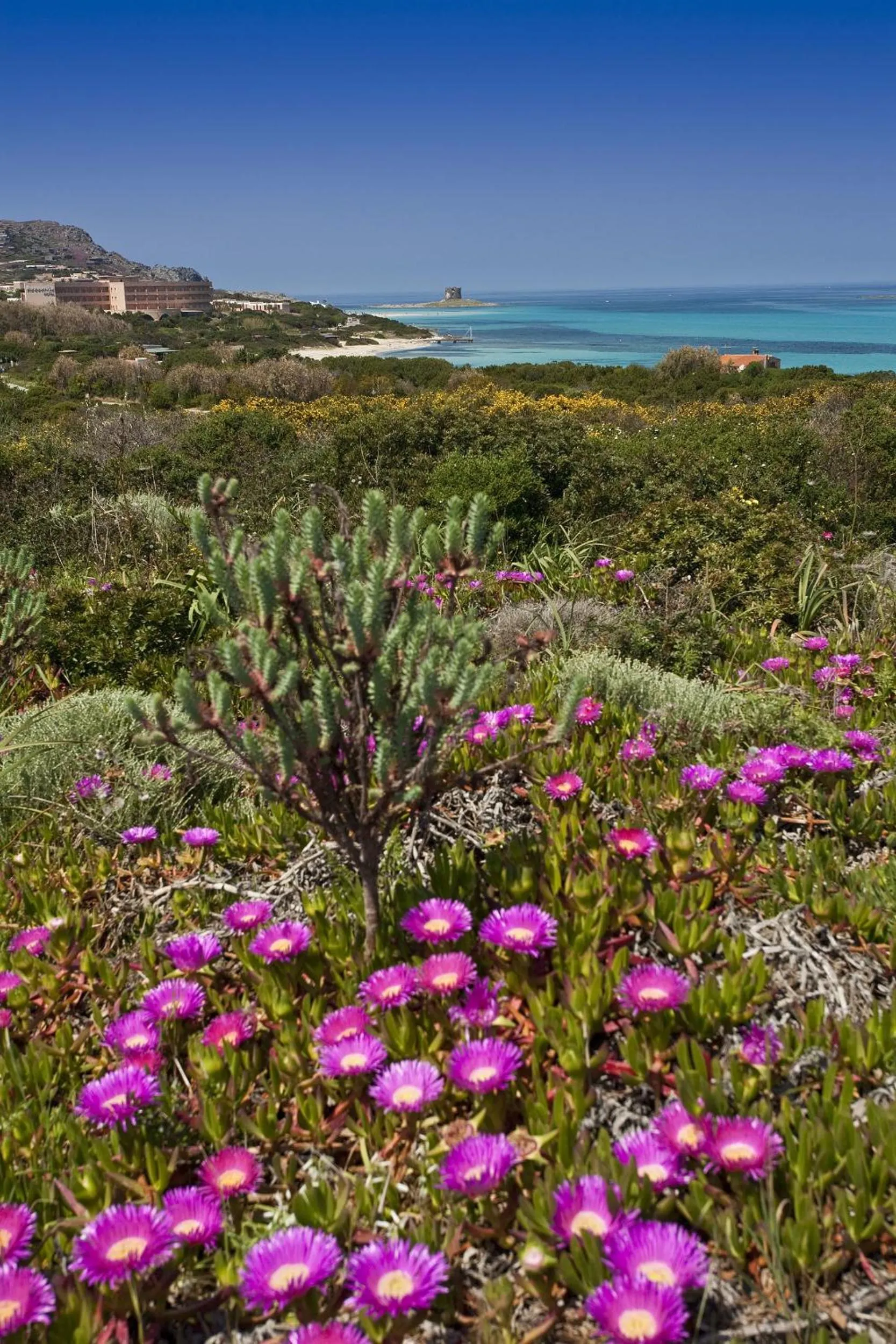 Natural landscape in Hotel Cala Reale