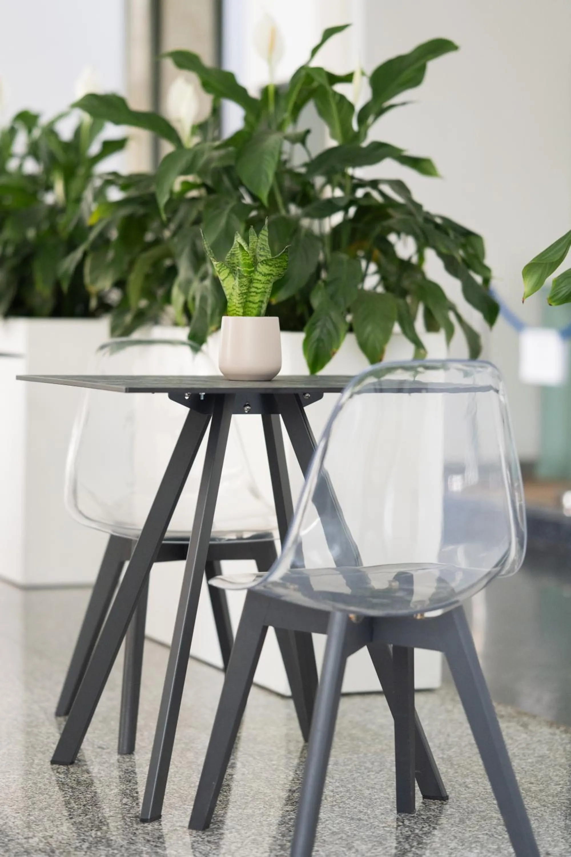 Restaurant/places to eat in Hotel Riva Del Sole