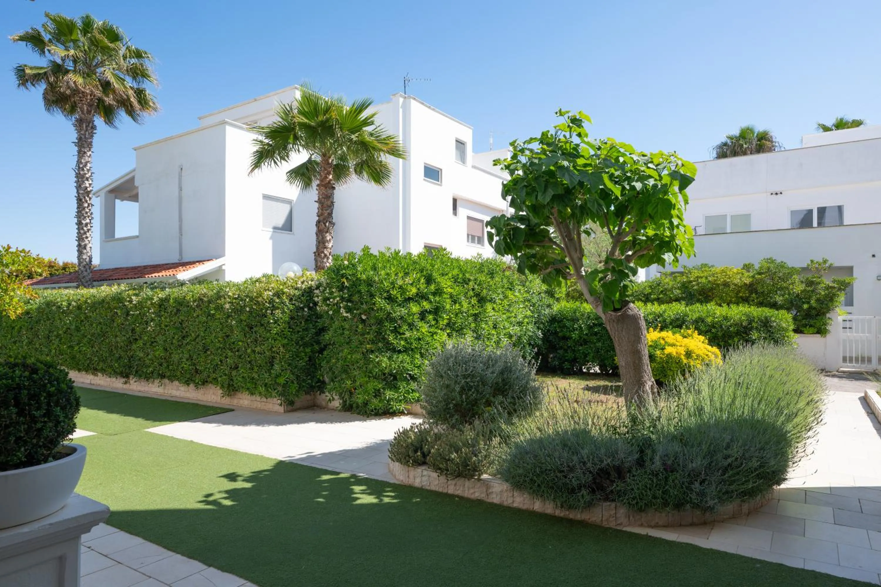 Garden in Hotel Riva Del Sole