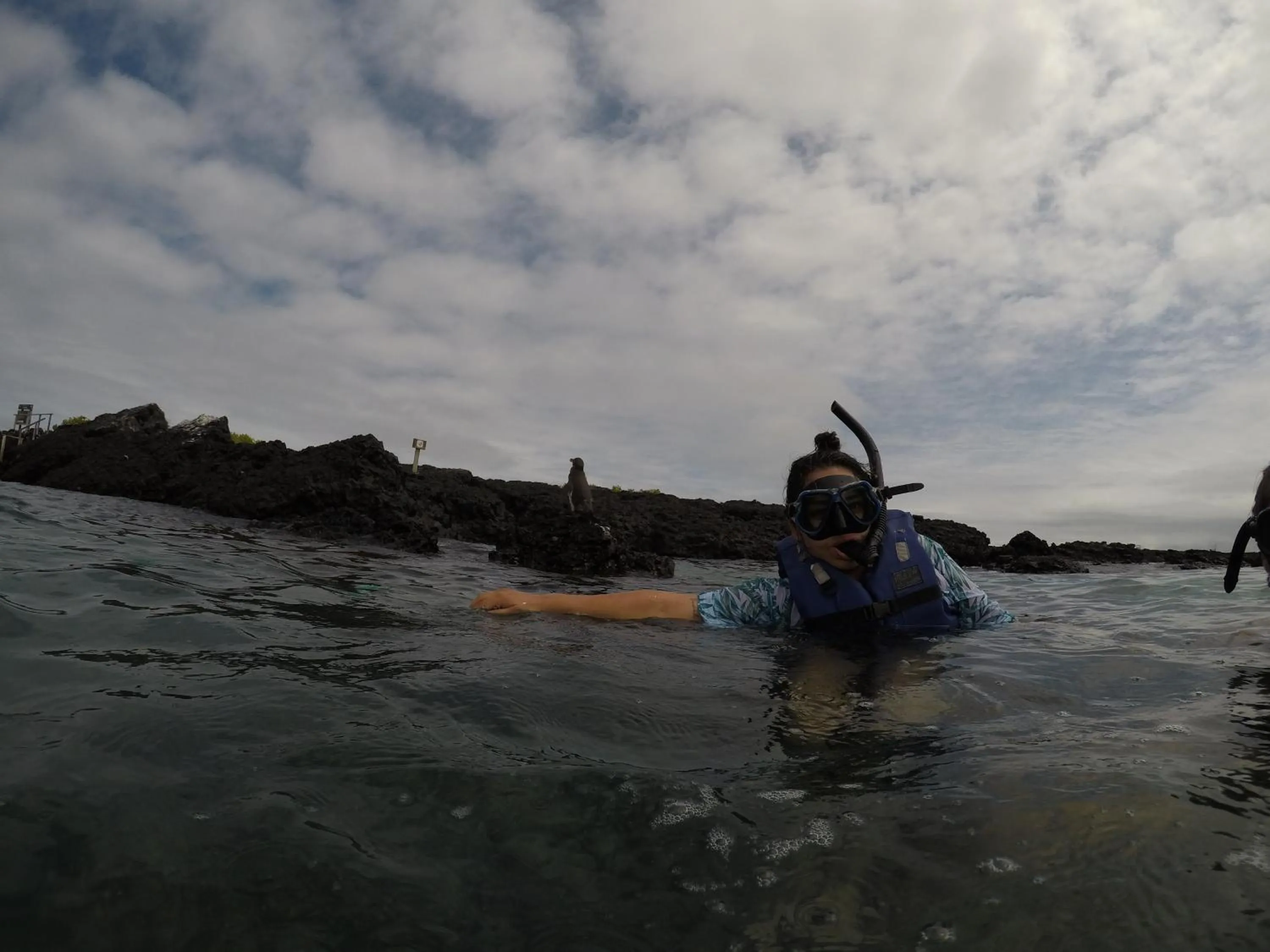Snorkeling in Hostal Neptuno - Poseidon