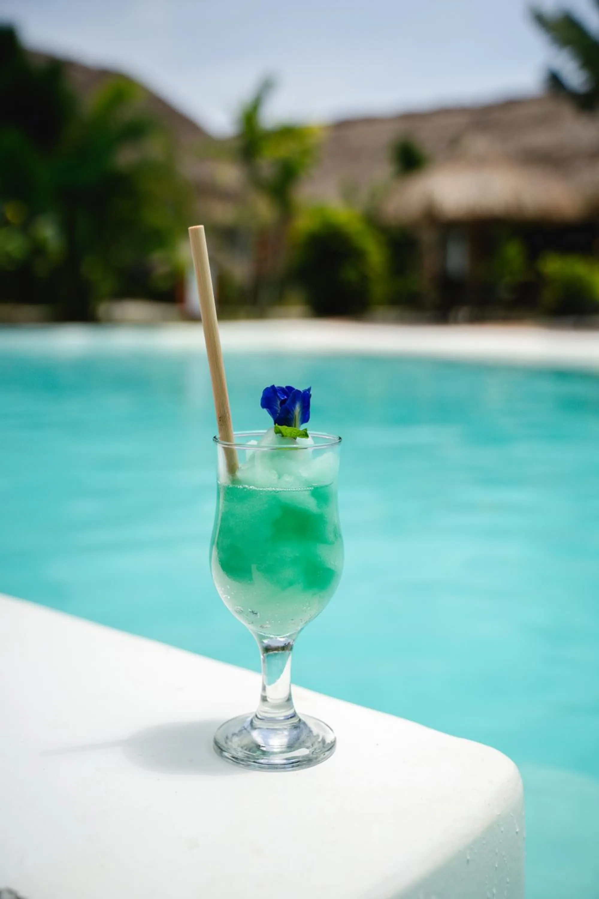 Secret paradise moalboal