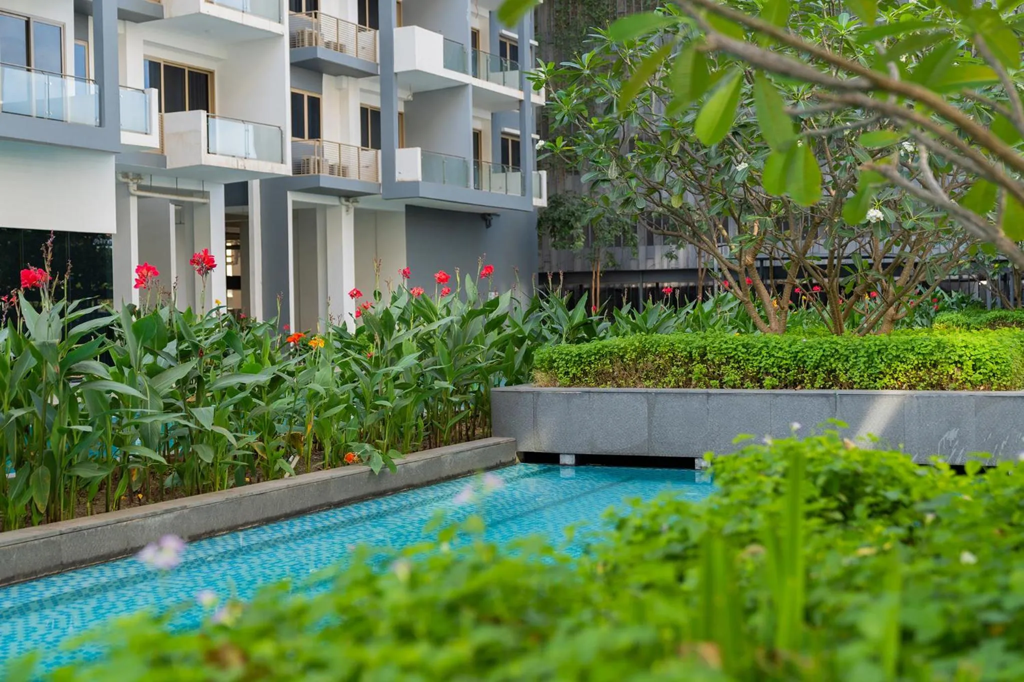 Garden in 85 SOHO Hotel & Apartment