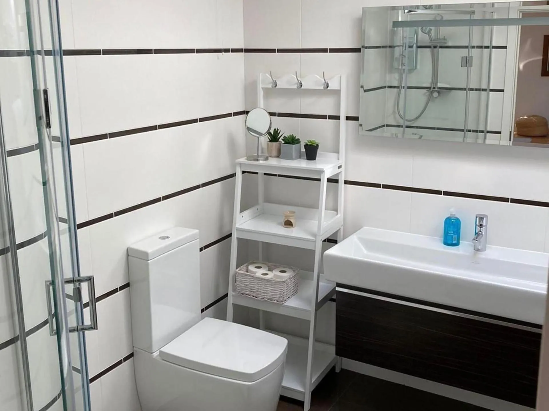 Toilet in Countryside Annex- Sleeps 2 Free Parking & Garden