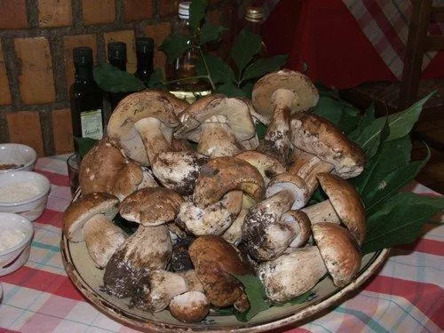 Restaurant/places to eat in Hotel Duca Di Calabria