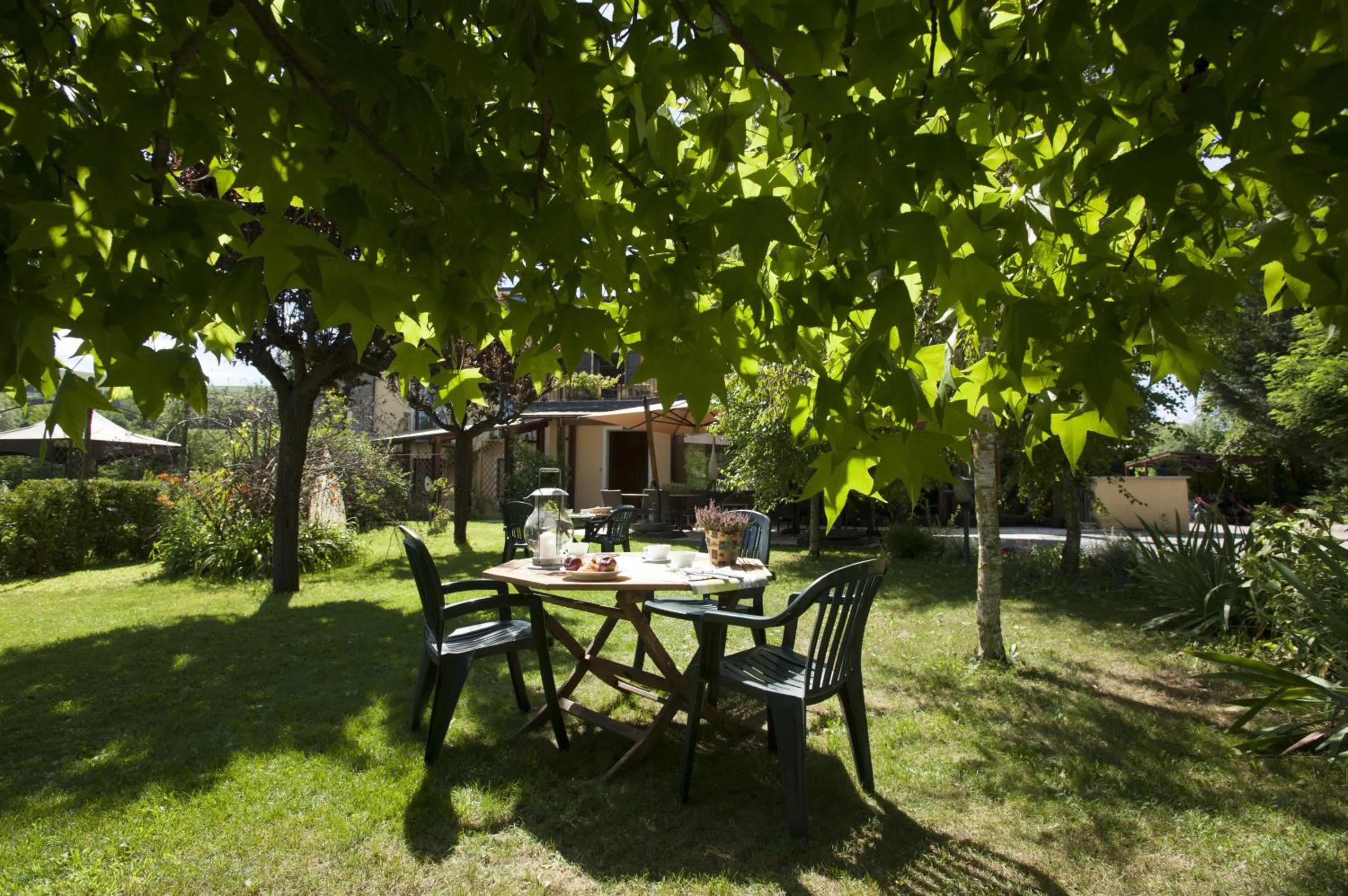 Garden in Hotel Langhe