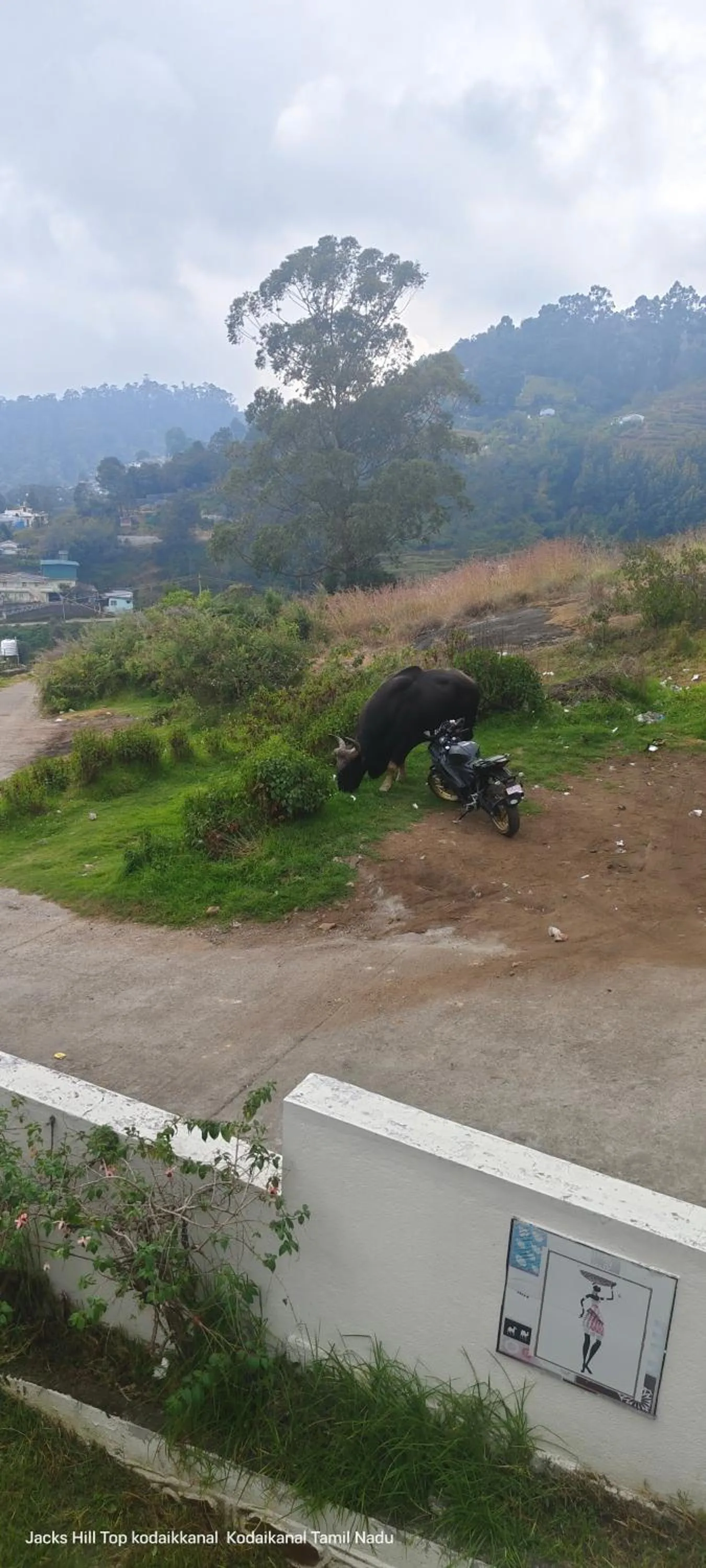 Quiet street view in The Jacks Hilltop Resort Kodaikanal