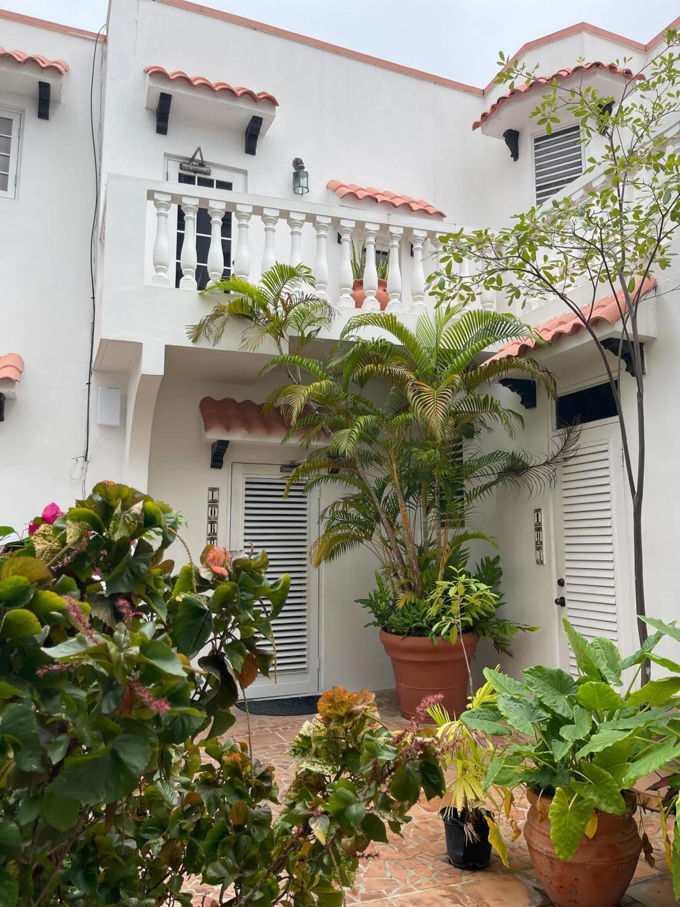 Garden in At Wind Chimes Boutique Hotel