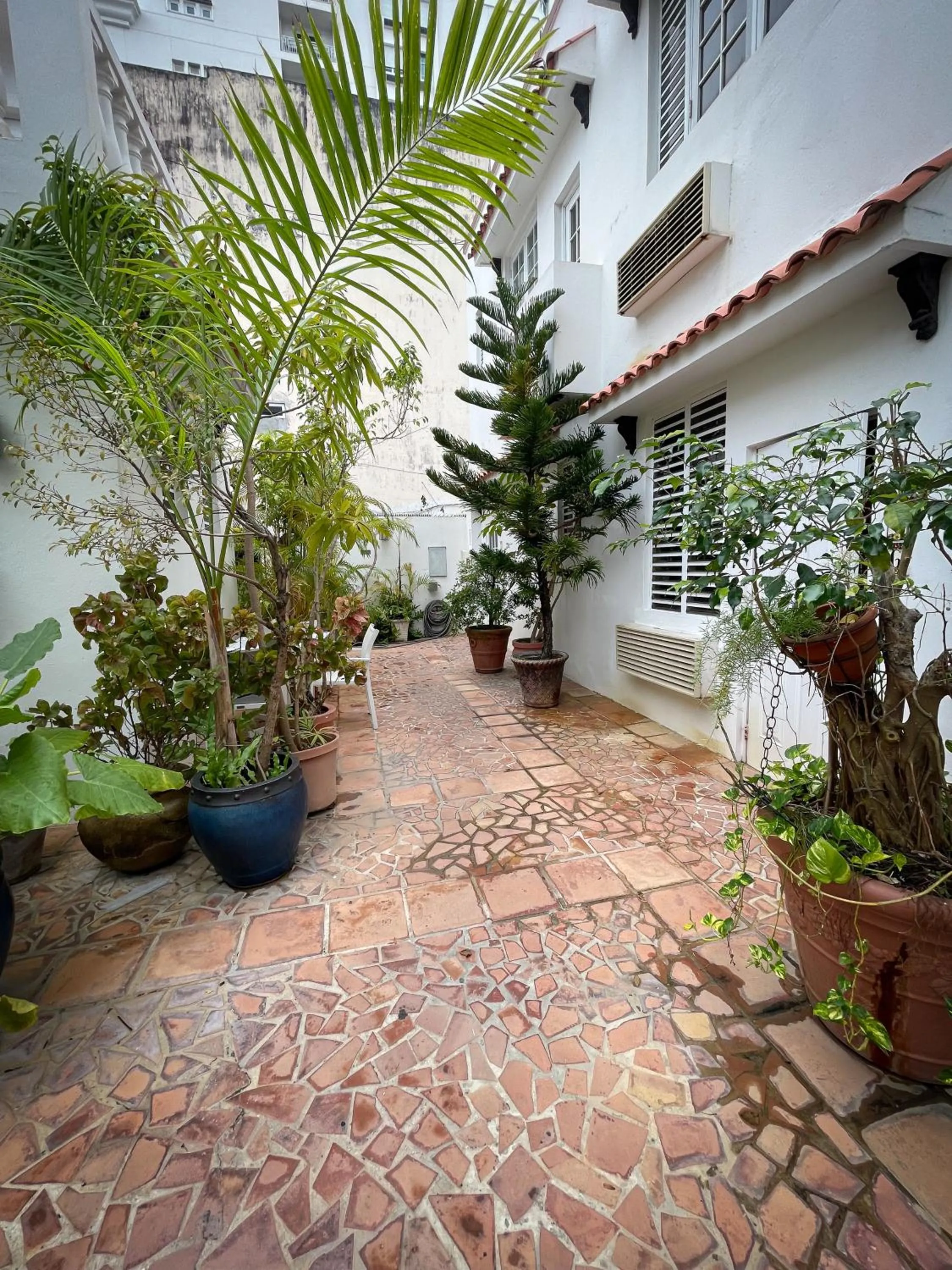 Garden view in At Wind Chimes Boutique Hotel