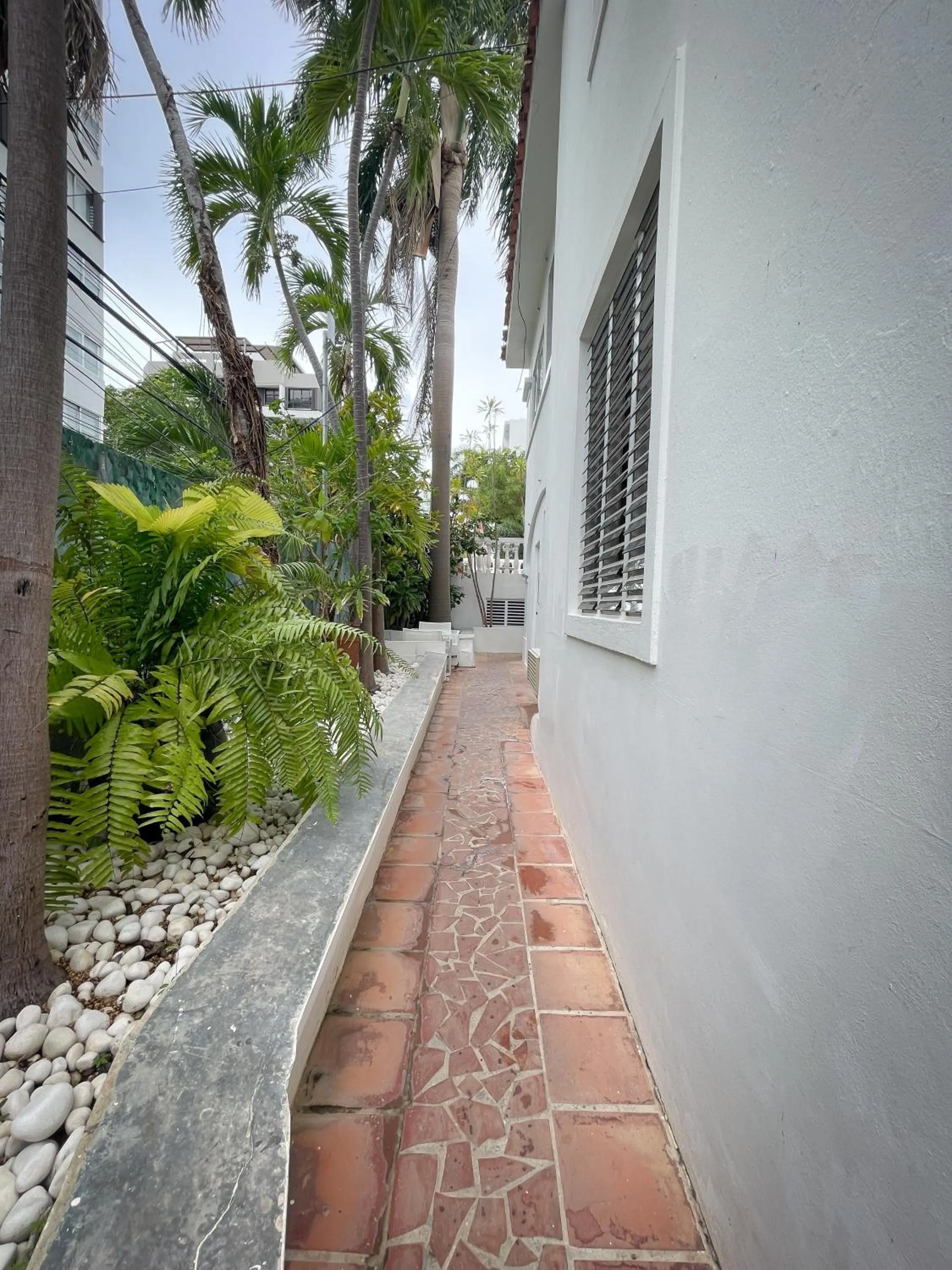 Garden in At Wind Chimes Boutique Hotel