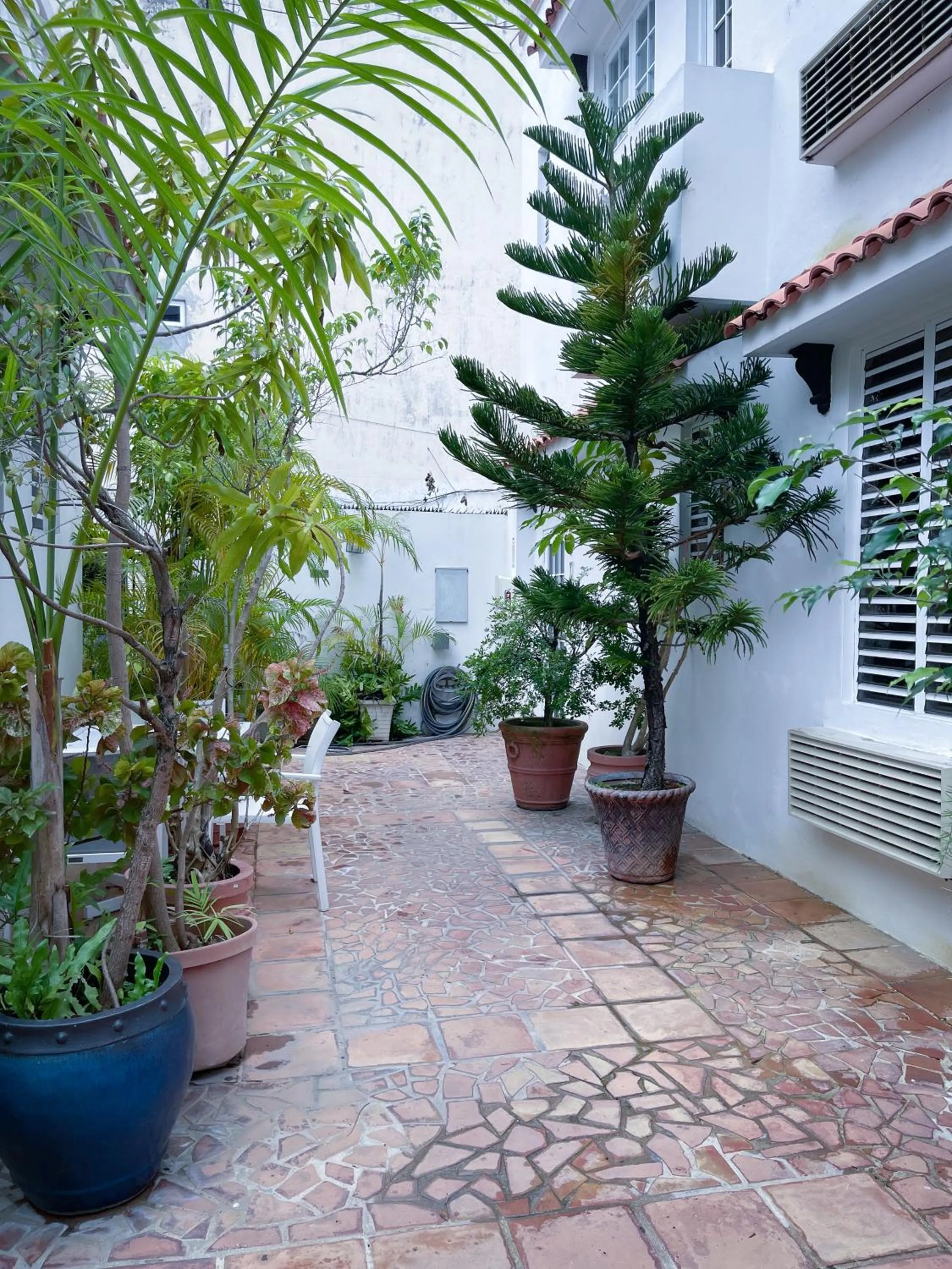 Garden view in At Wind Chimes Boutique Hotel