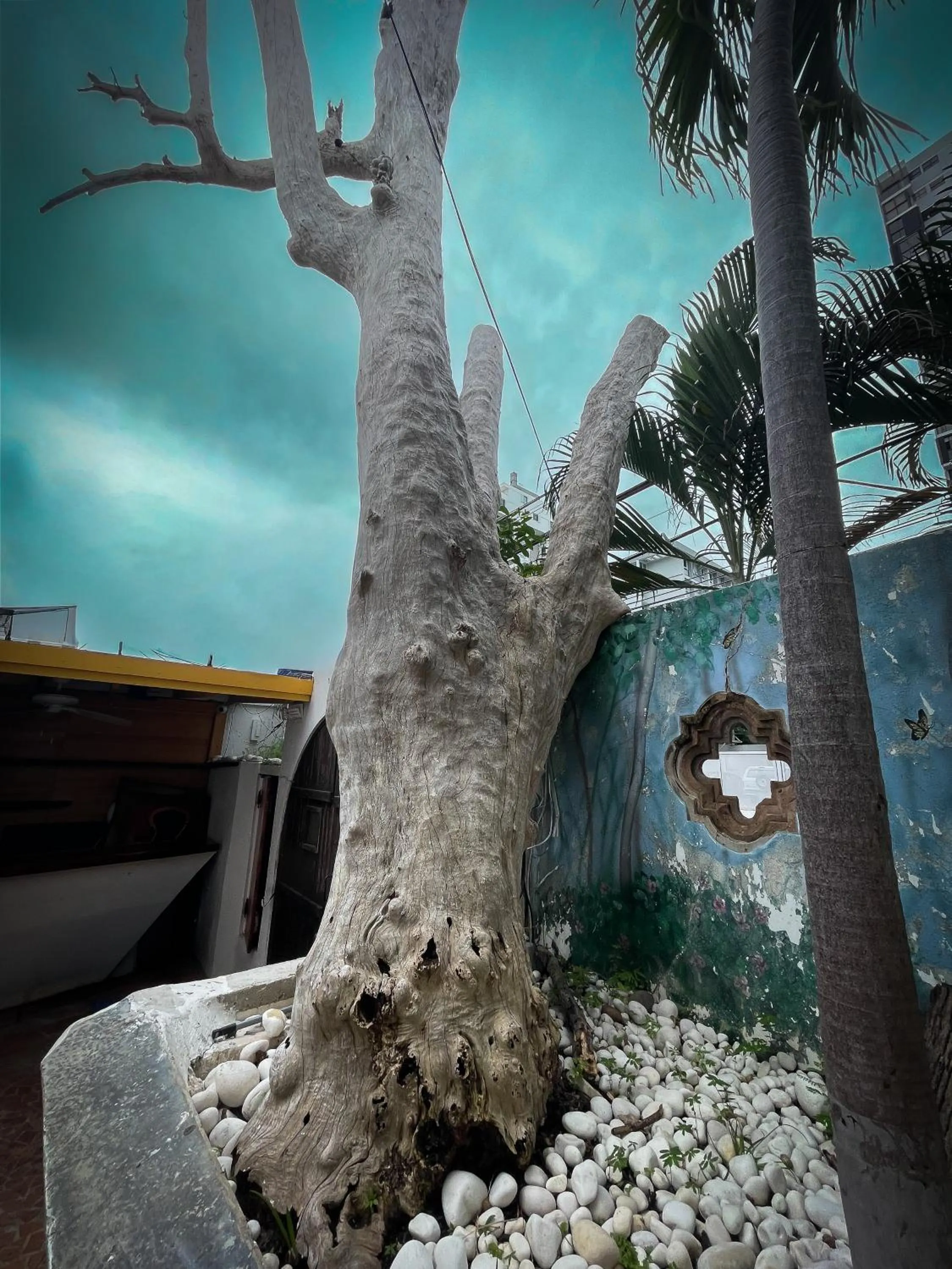 Garden in At Wind Chimes Boutique Hotel