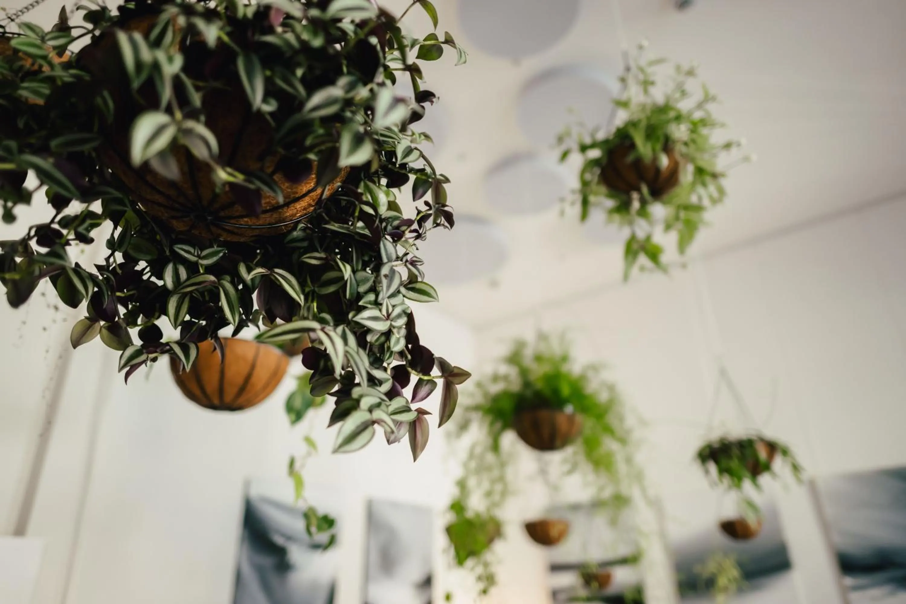Lobby or reception in The Layhead B&B