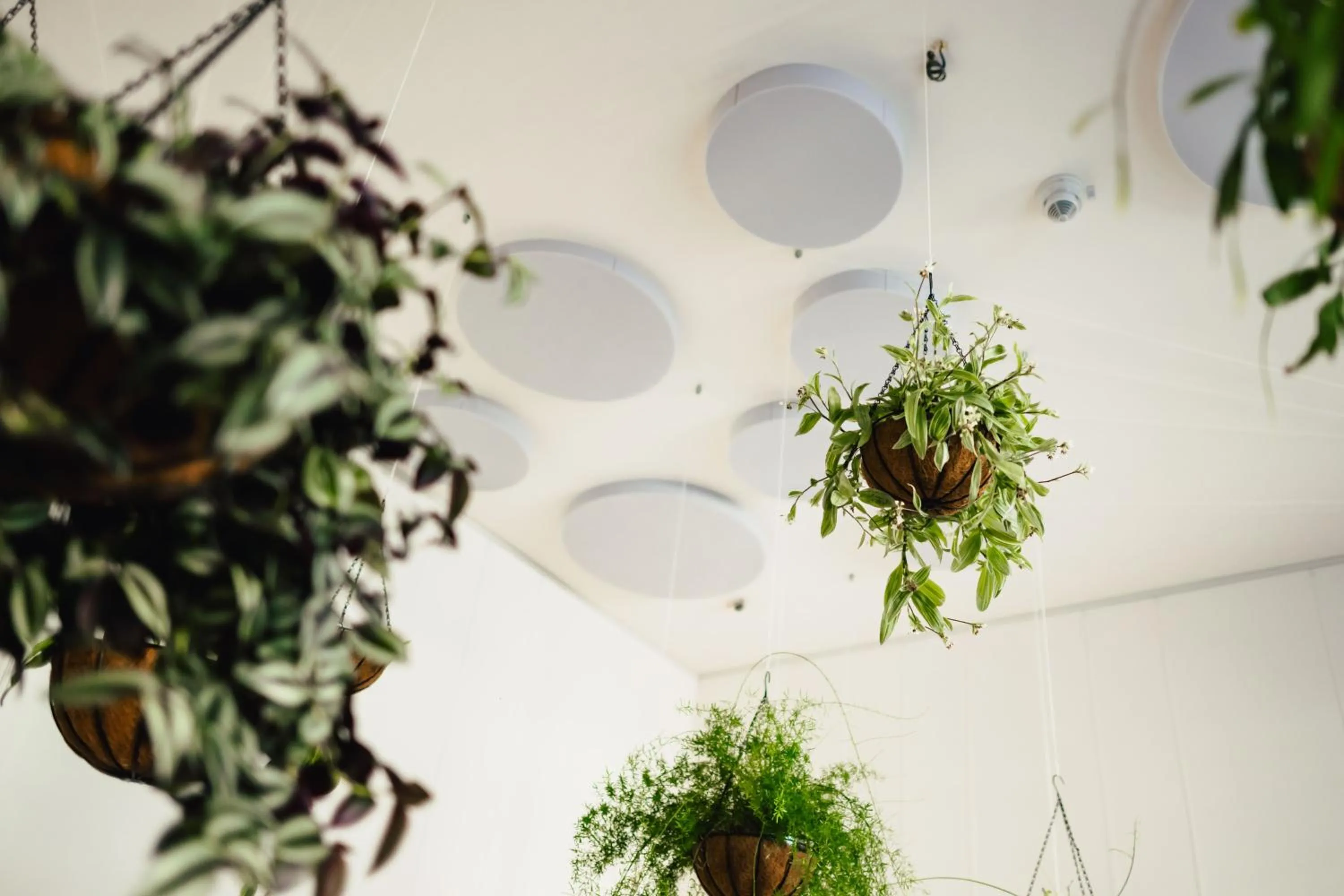 Lobby or reception in The Layhead B&B