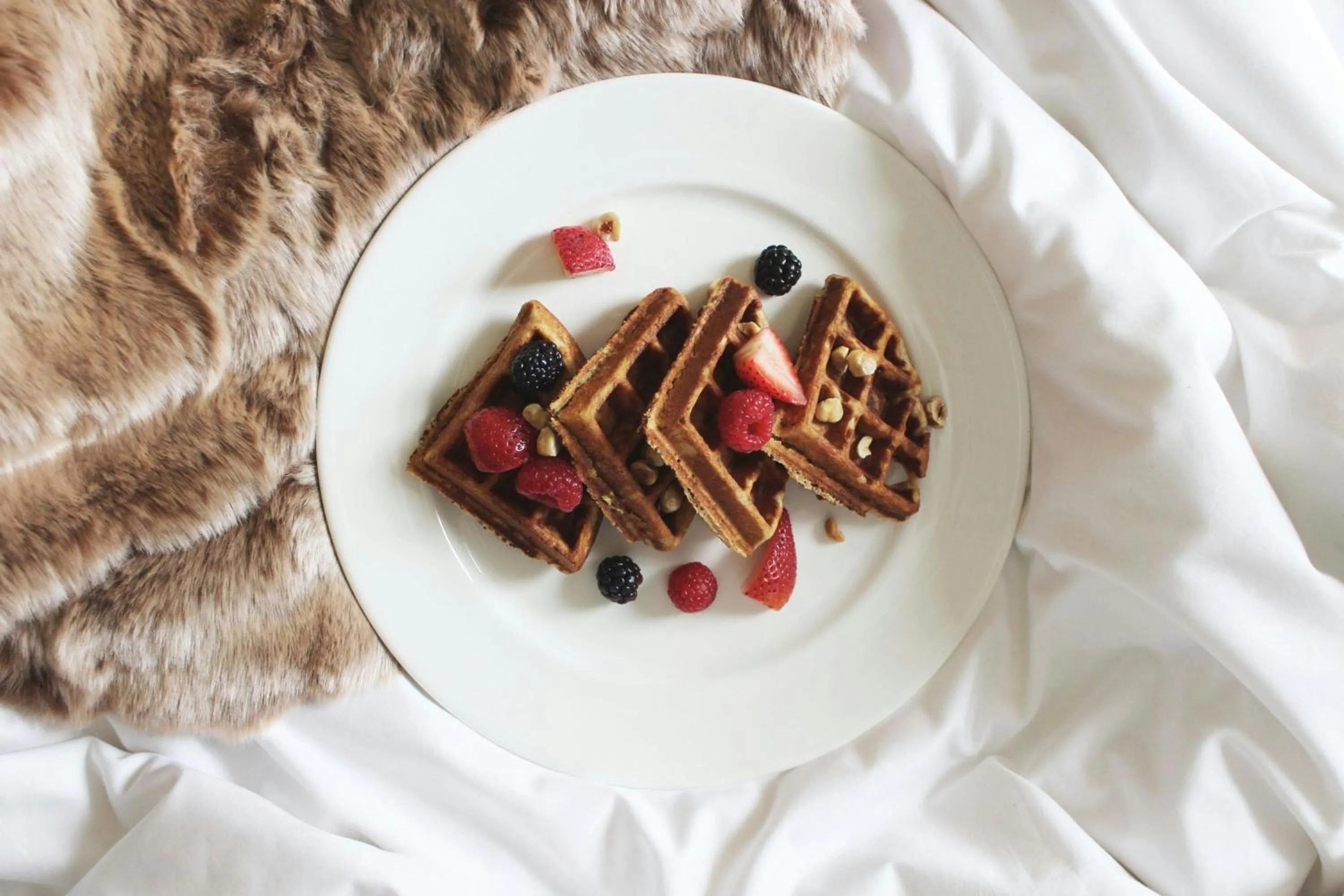 Breakfast in The Tampa EDITION