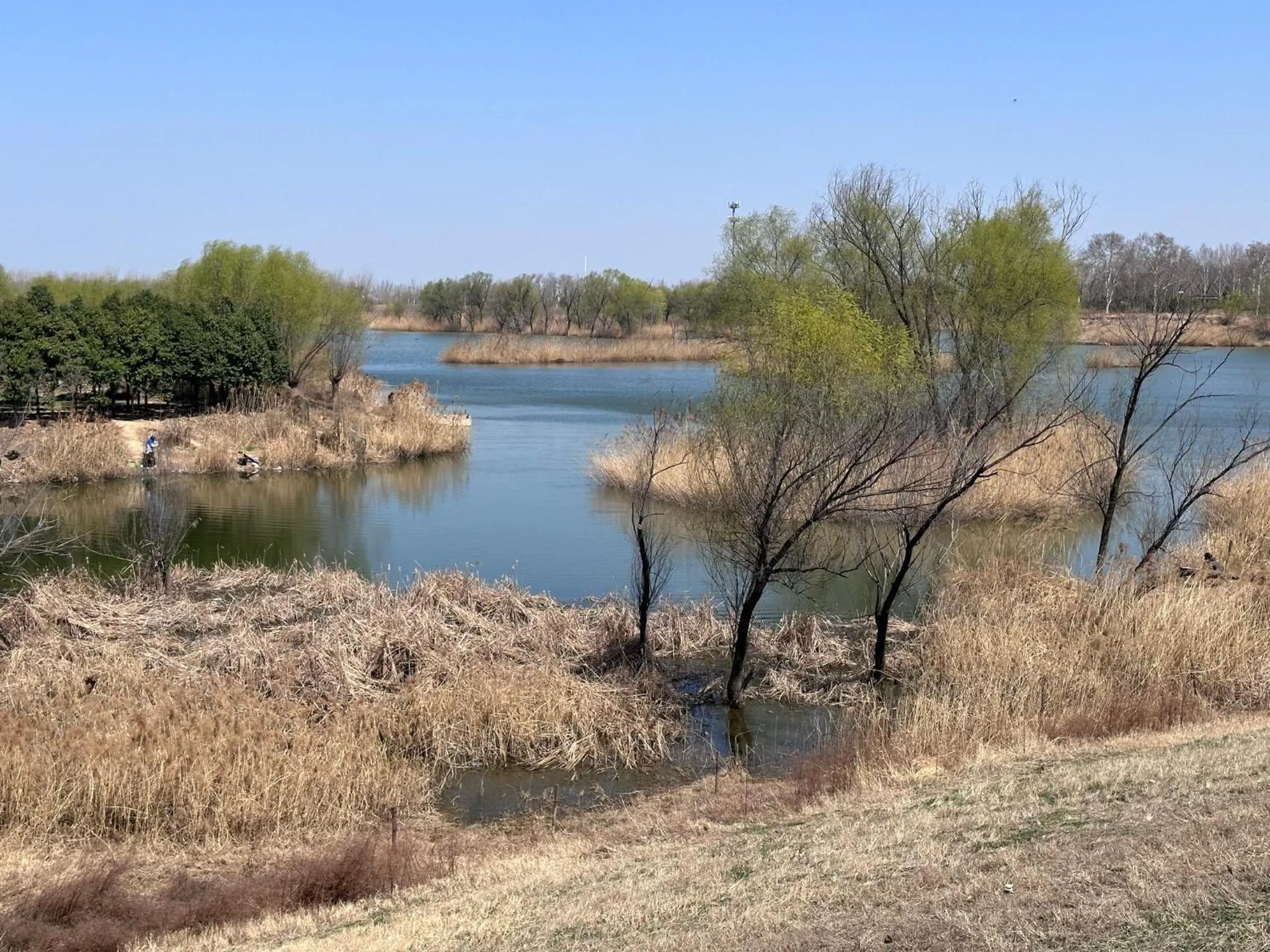 Nearby landmark in Crowne Plaza Zhengzhou High Tech Zone by IHG