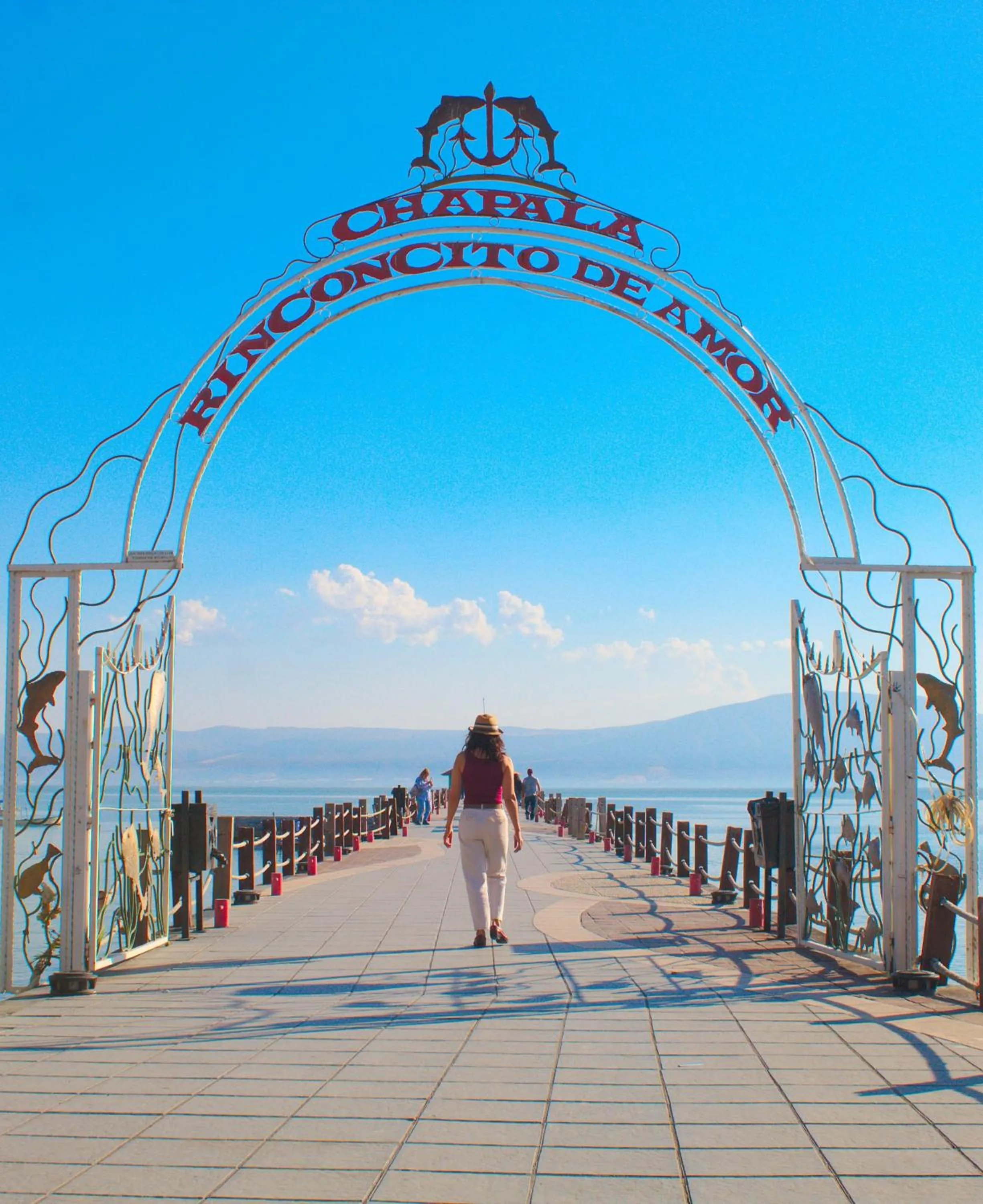 Area and facilities in voco Guadalajara Neruda by IHG