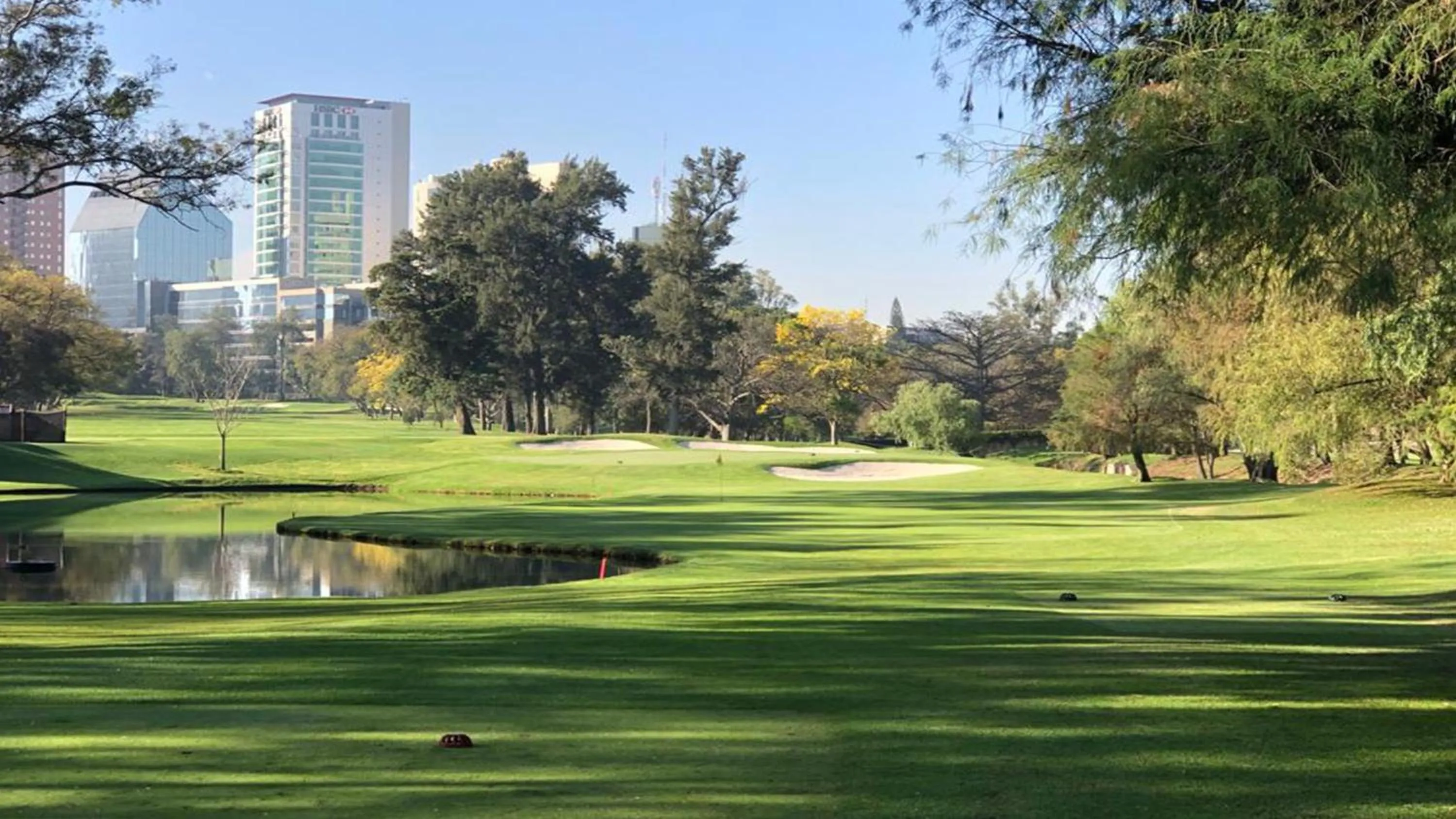 Area and facilities in voco Guadalajara Neruda by IHG