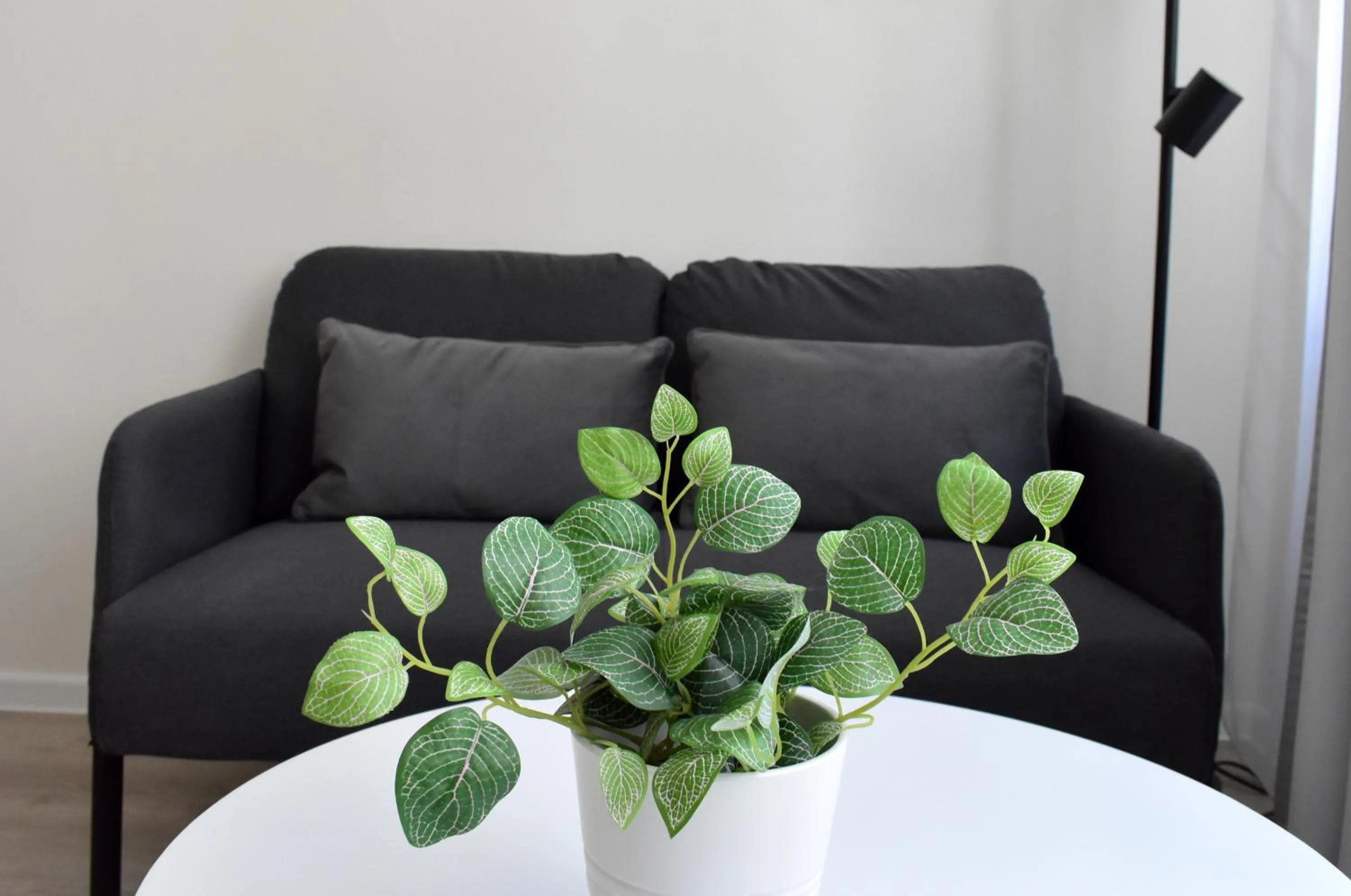 Living room in Seifert Residence