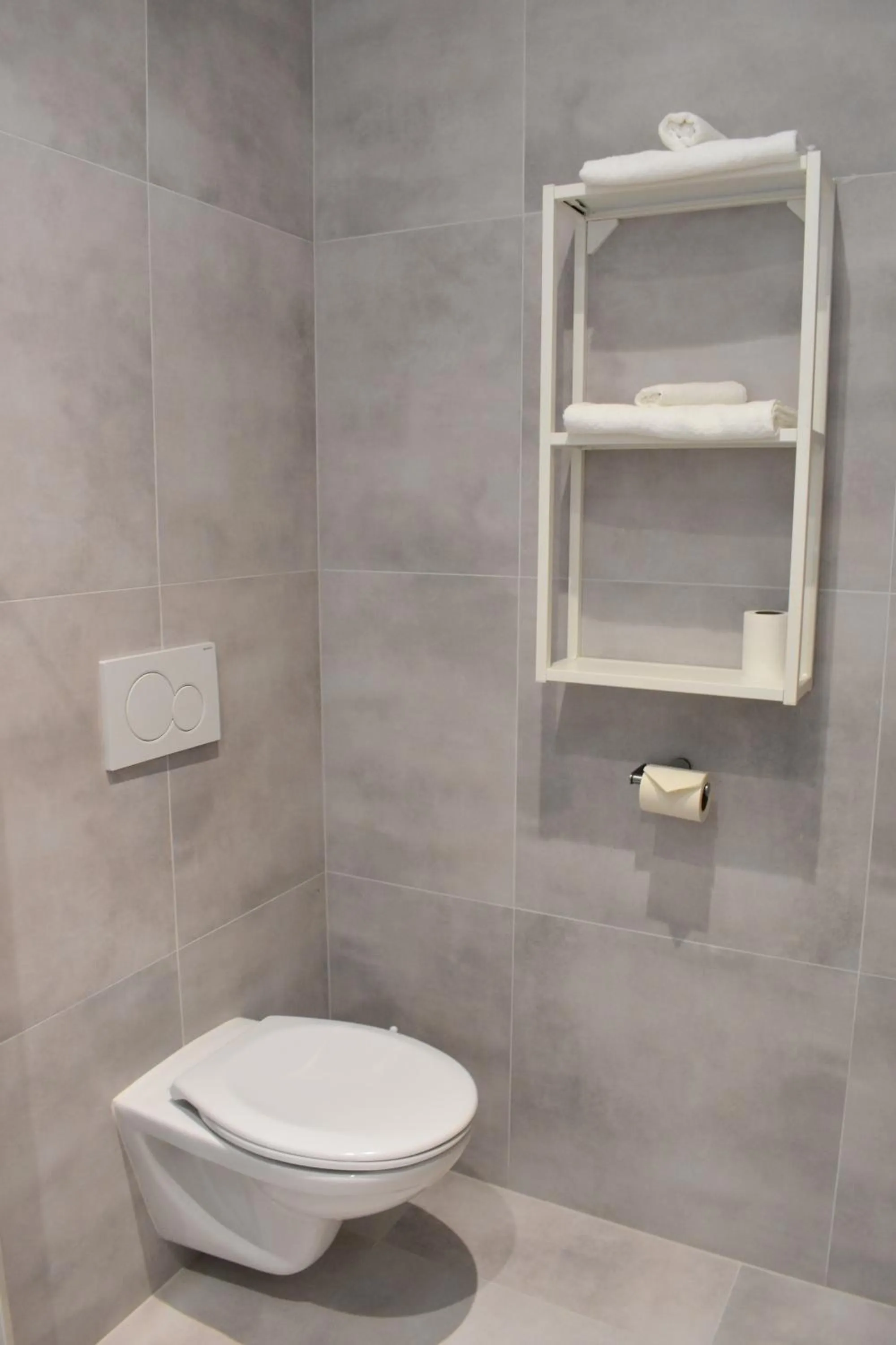 Toilet in Seifert Residence