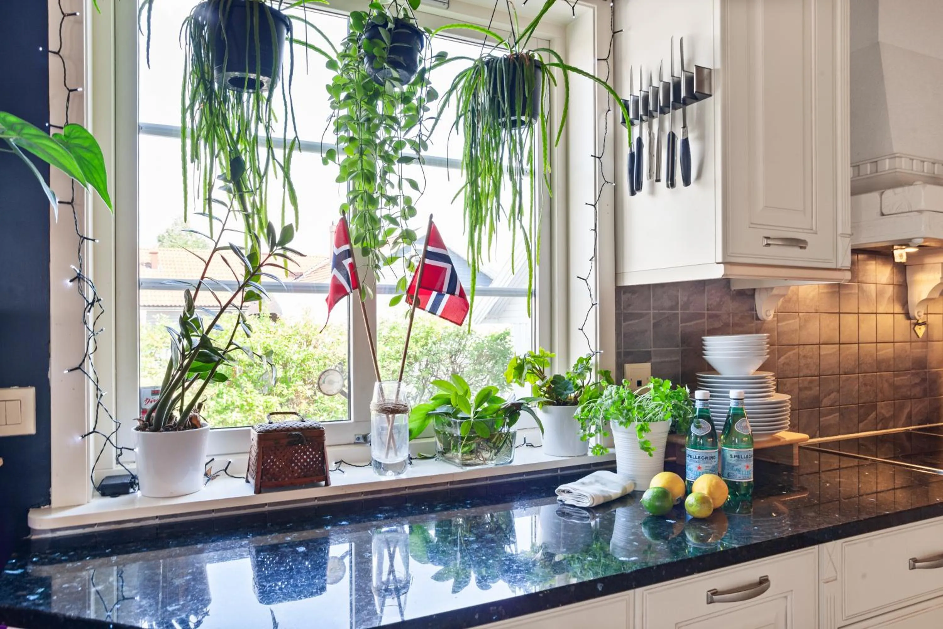 Kitchen or kitchenette in Klara