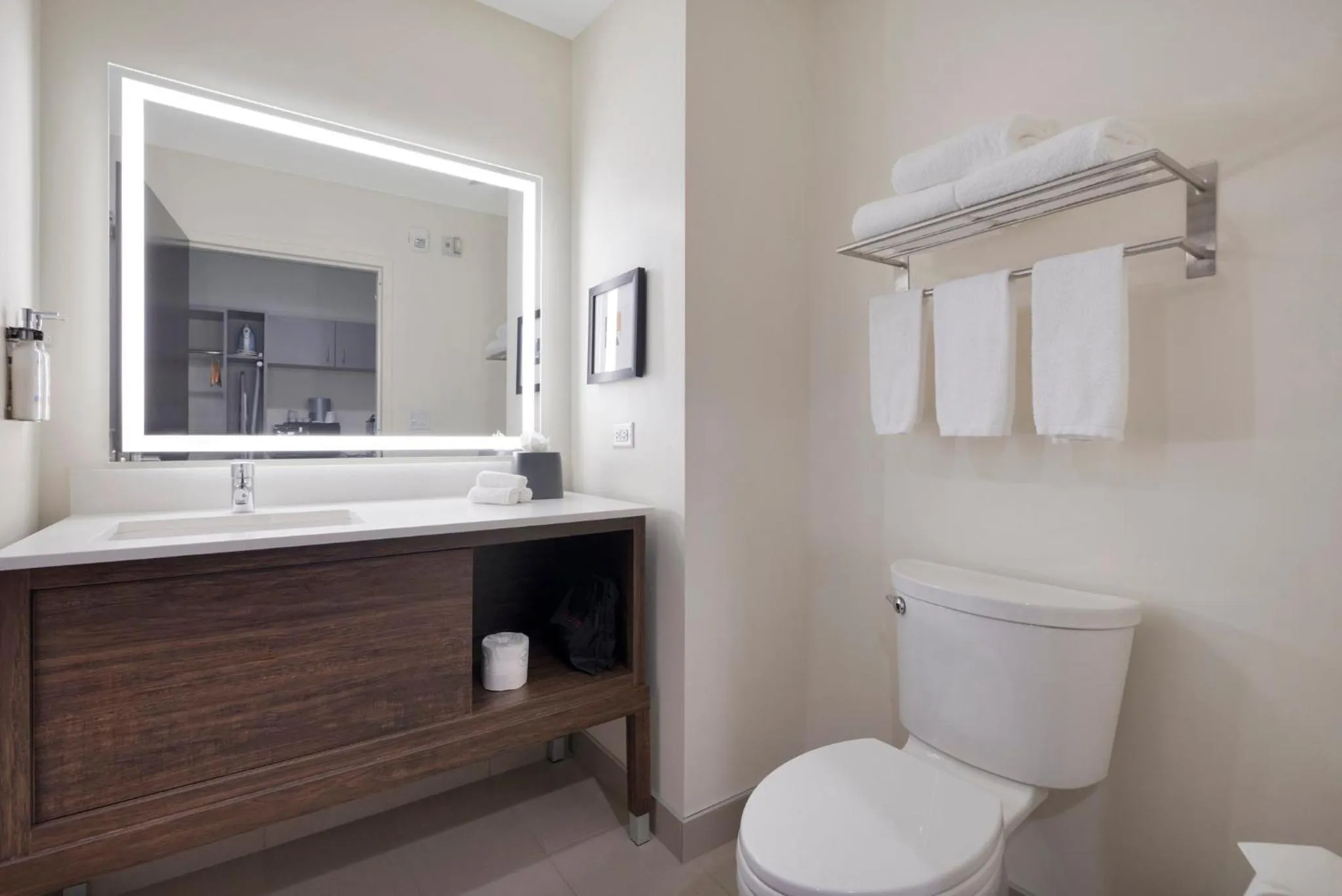 Bathroom in Holiday Inn - Chicago - Tinley Park by IHG