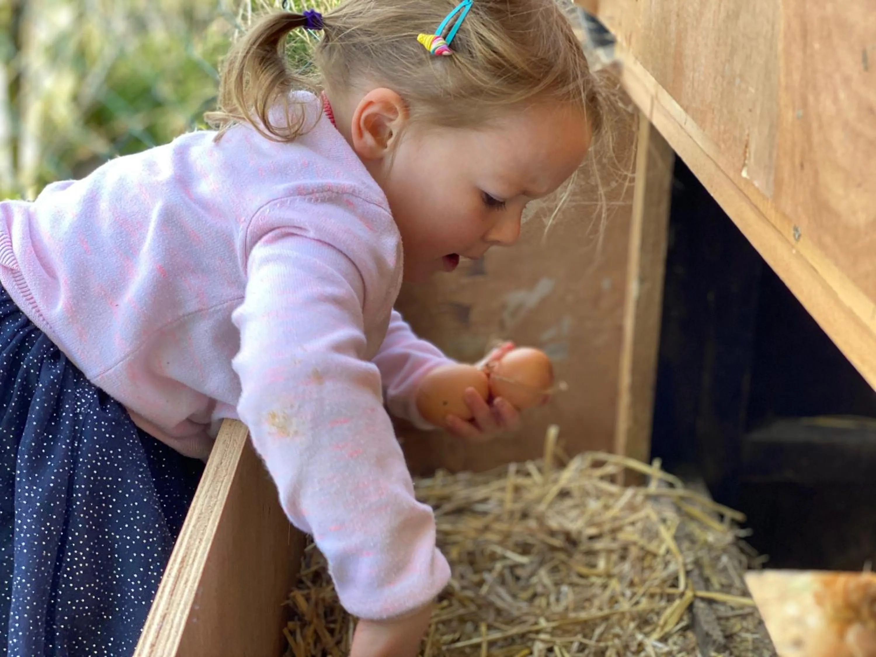 Activities in The Chestnuts Holiday Cottages