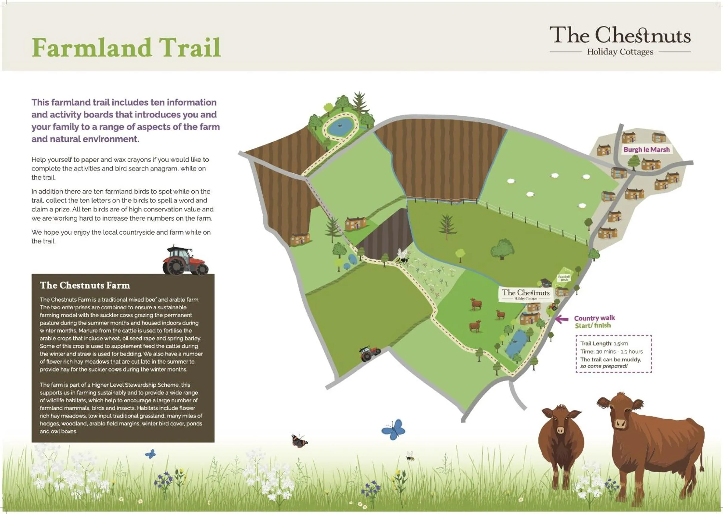 Other in The Chestnuts Holiday Cottages