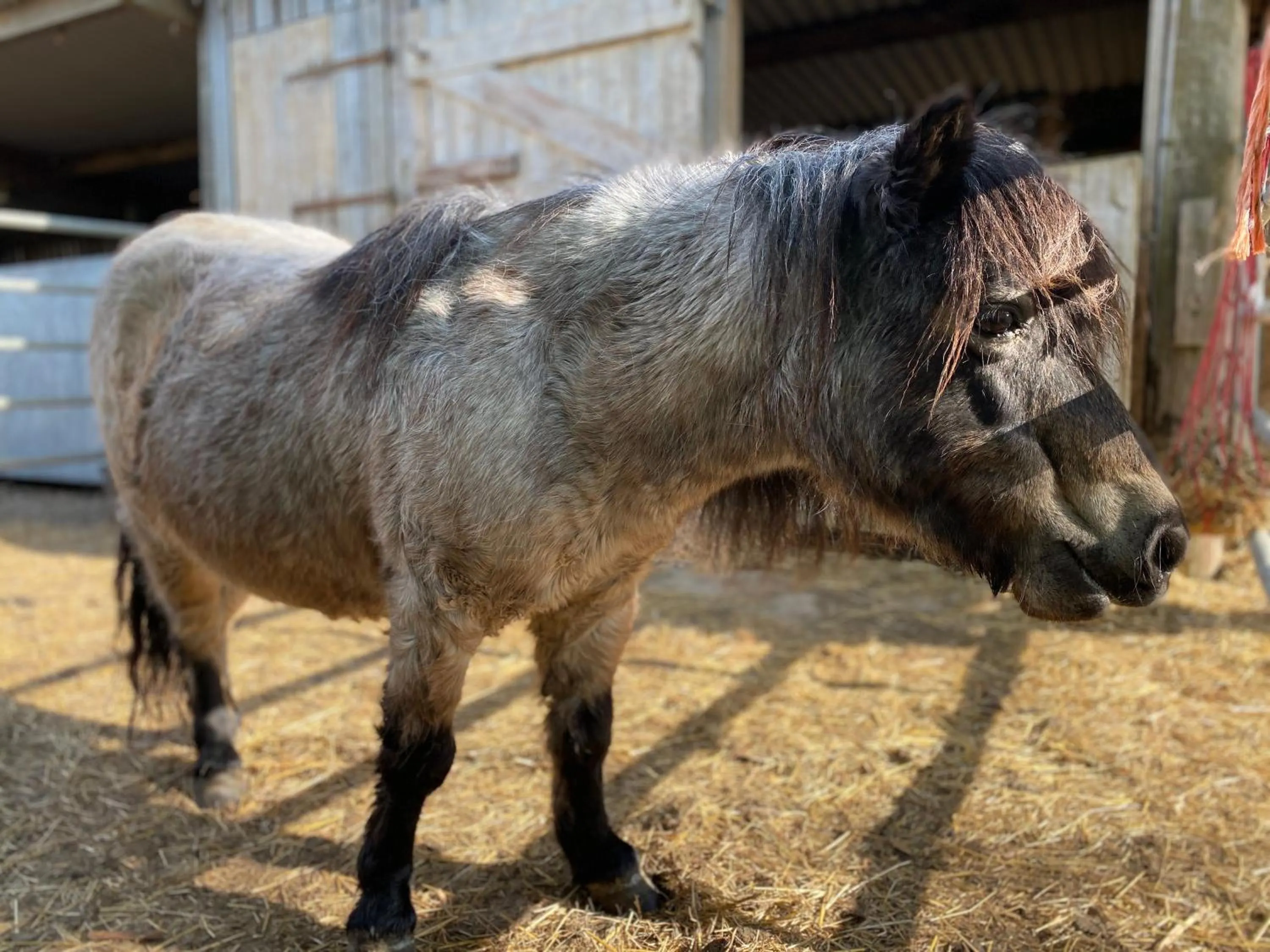 Activities in The Chestnuts Holiday Cottages
