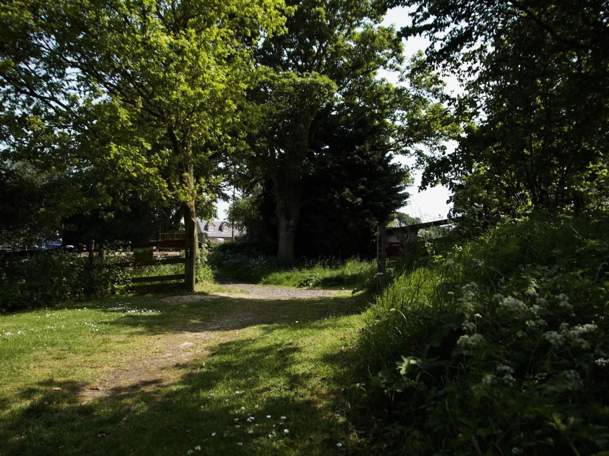 View (from property/room) in The Chestnuts Holiday Cottages