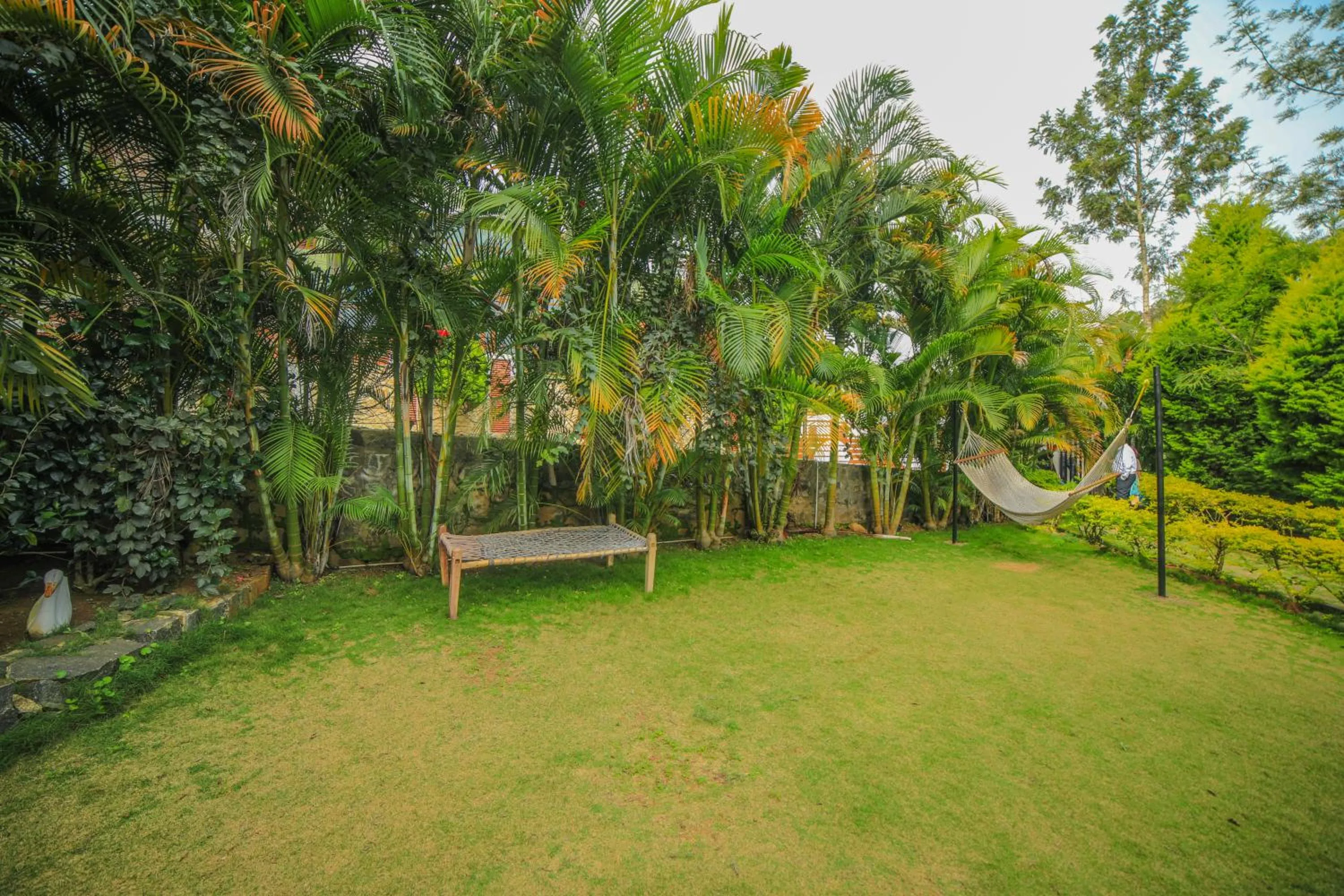 Garden view in WOW Bison Woods Organic Veg Resort - Yercaud