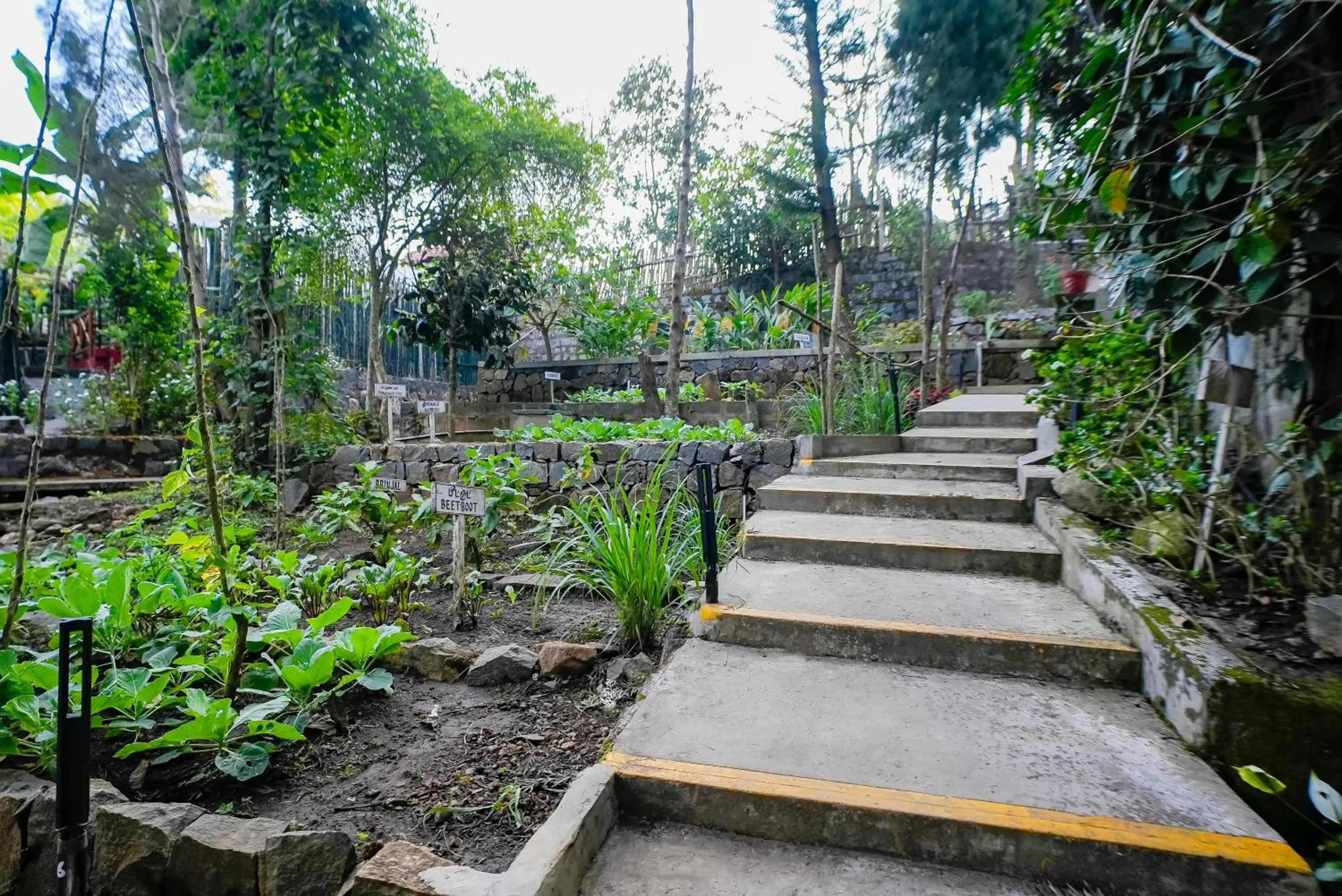 Garden in WOW Bison Woods Organic Veg Resort - Yercaud