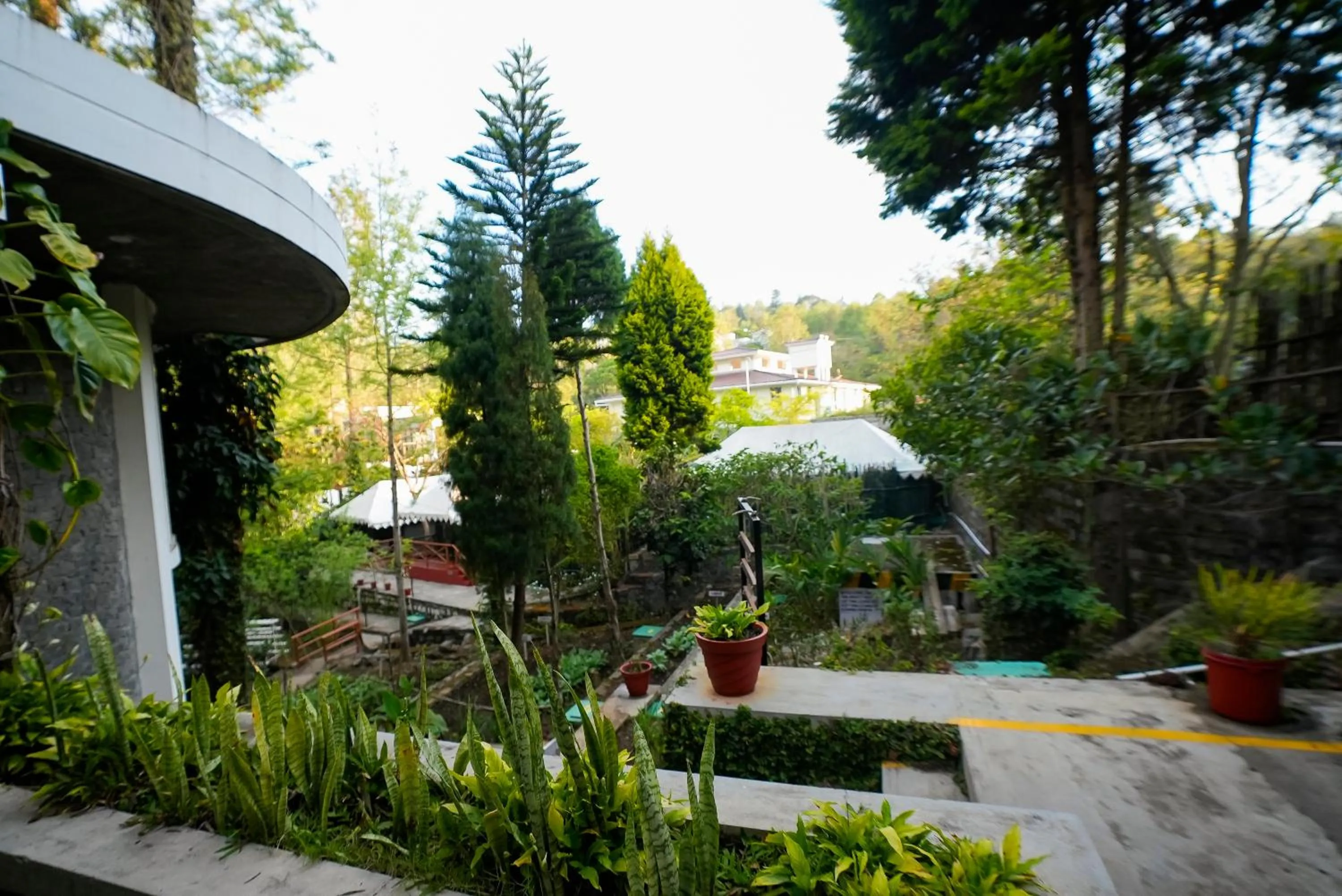 Garden in WOW Bison Woods Organic Veg Resort - Yercaud