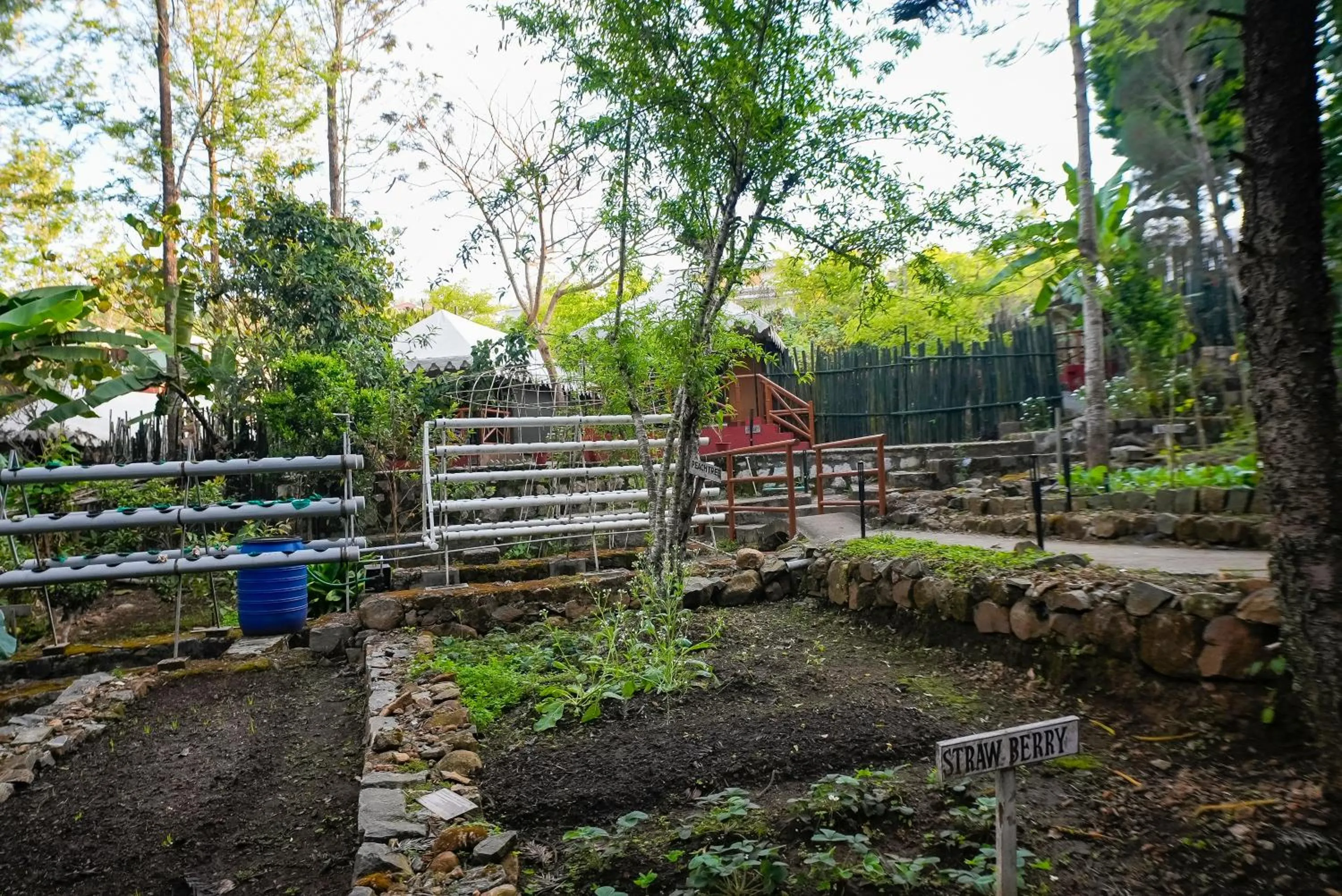 Garden in WOW Bison Woods Organic Veg Resort - Yercaud