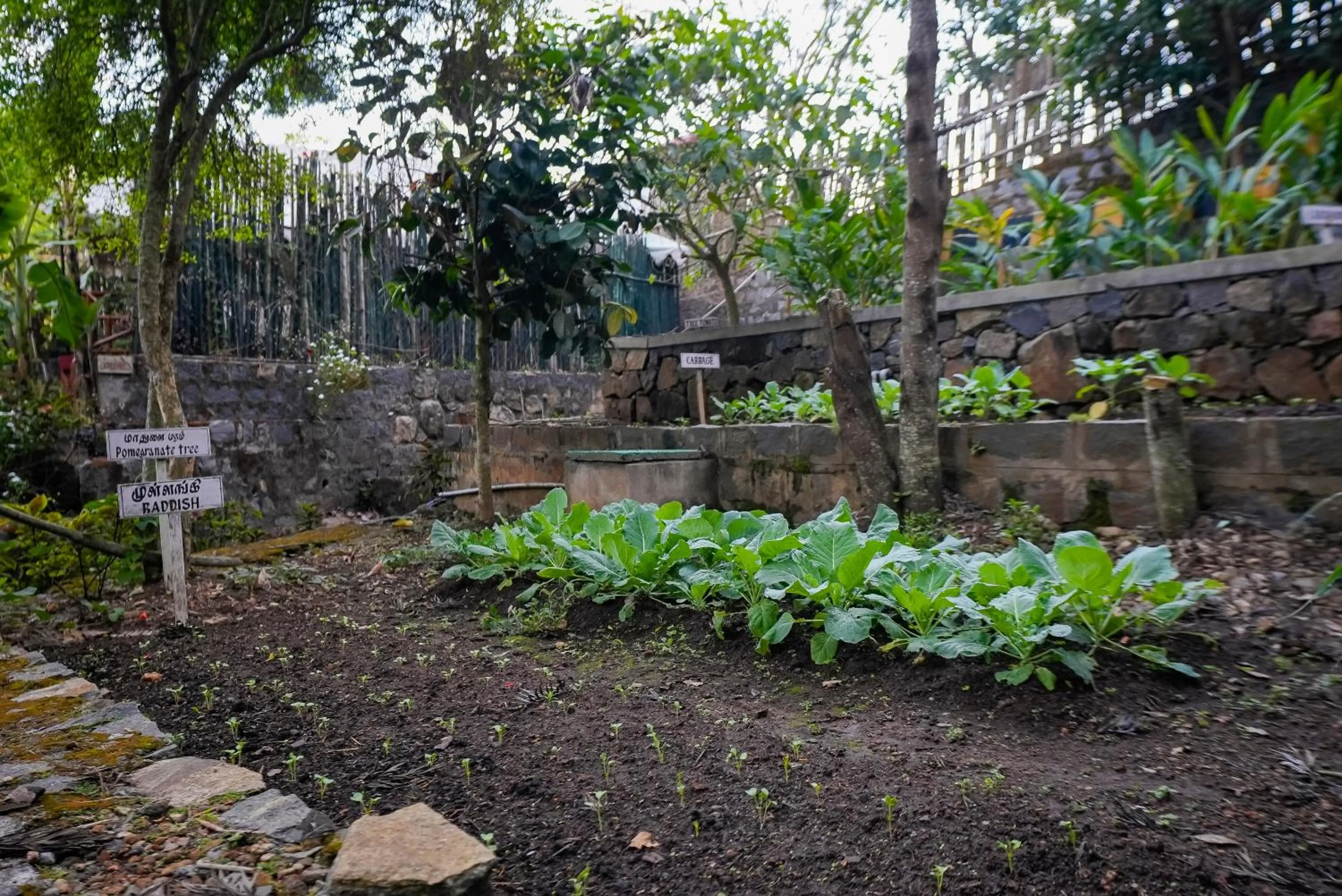 Garden in WOW Bison Woods Organic Veg Resort - Yercaud