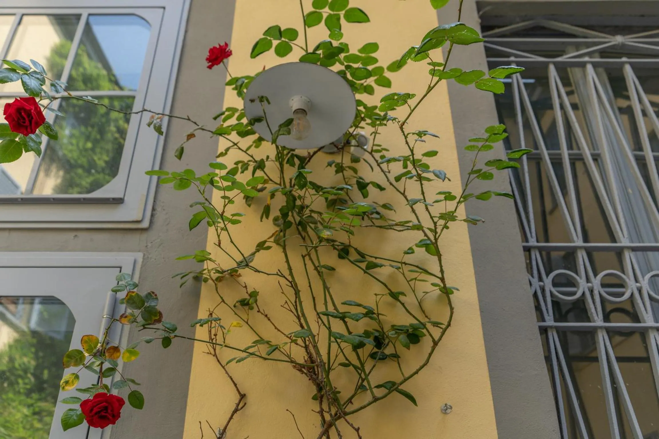 Property building in Duomo Smart Suites