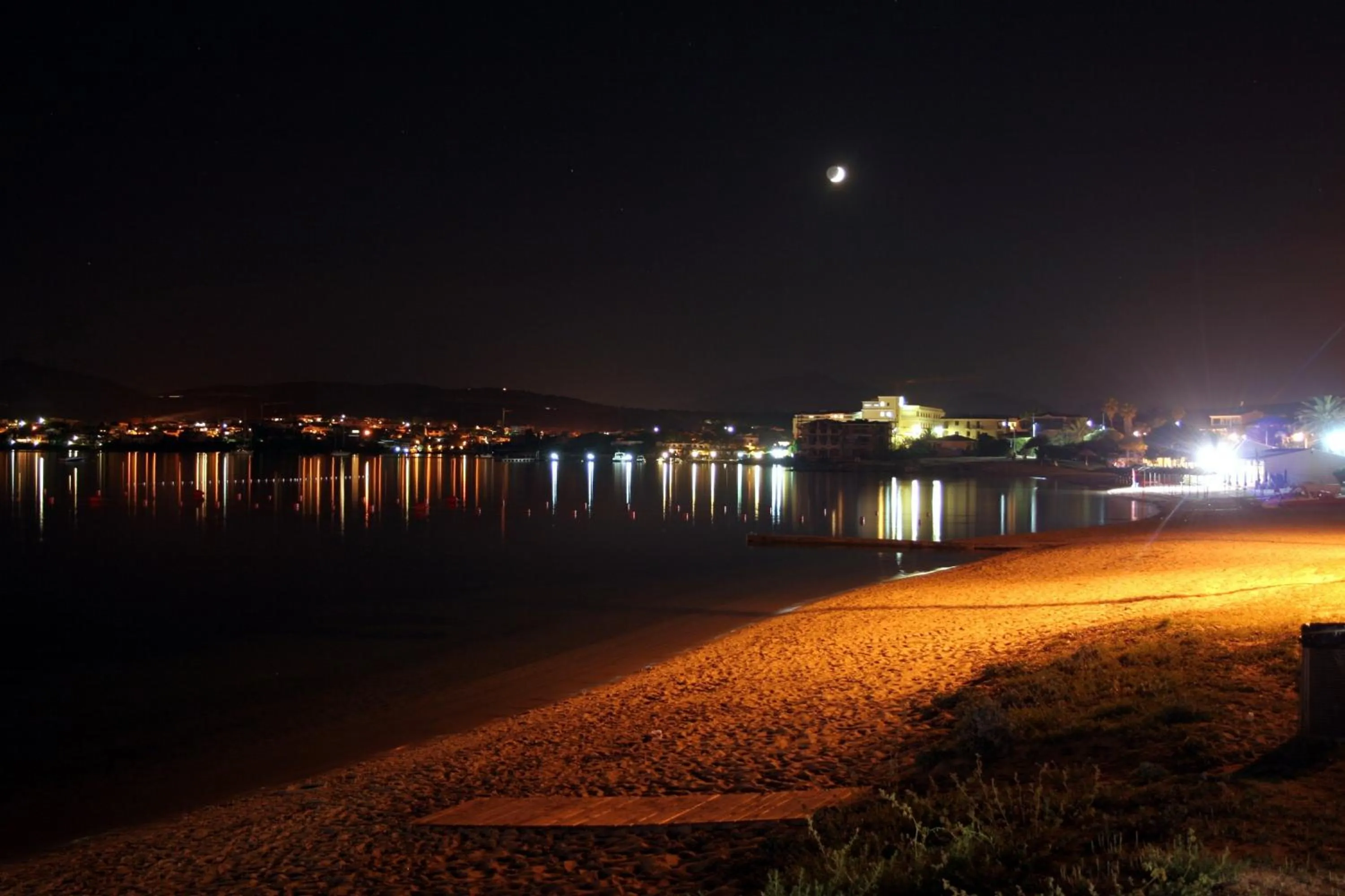 Night in Hotel Tabby