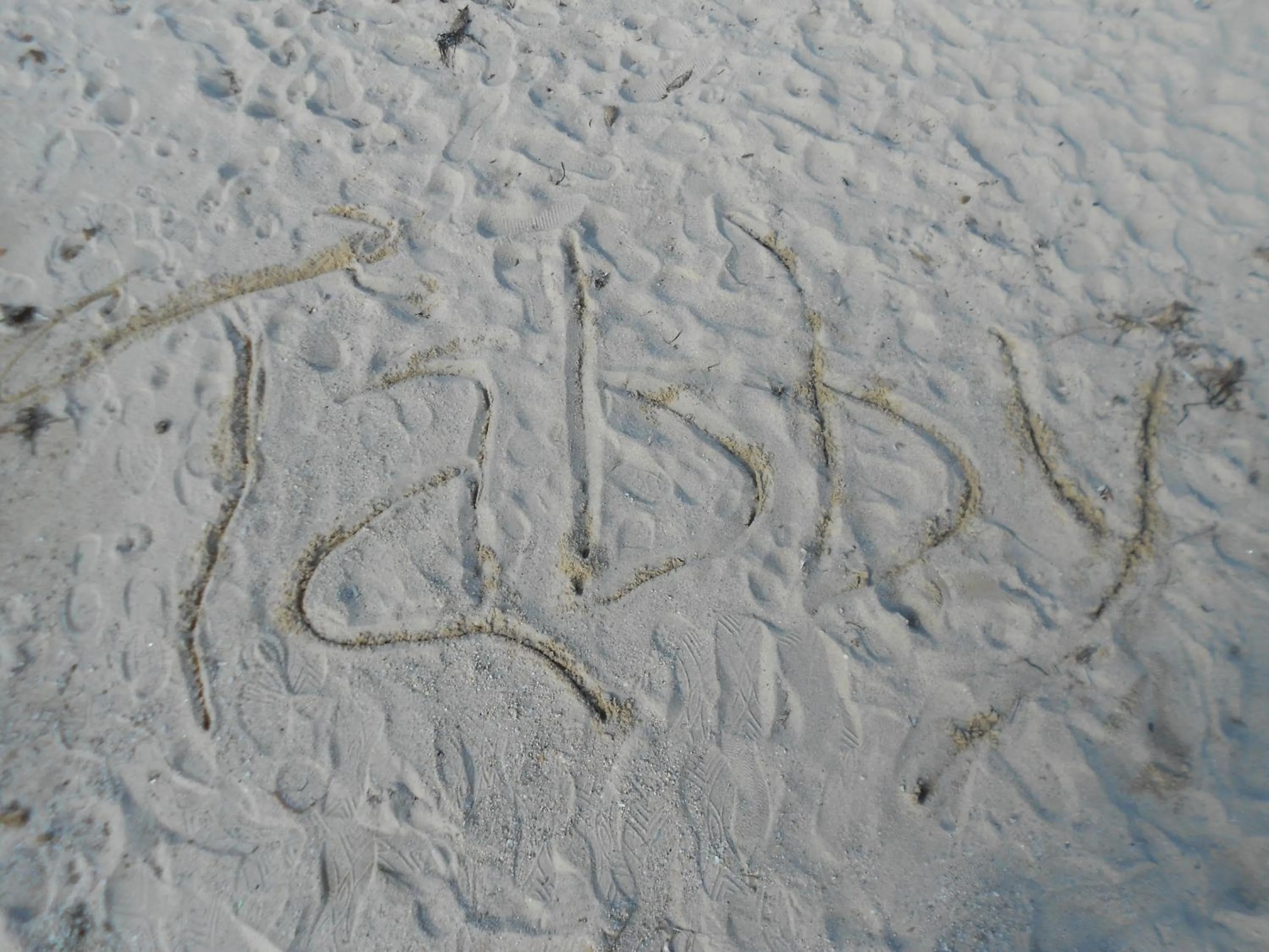 Other in Hotel Tabby