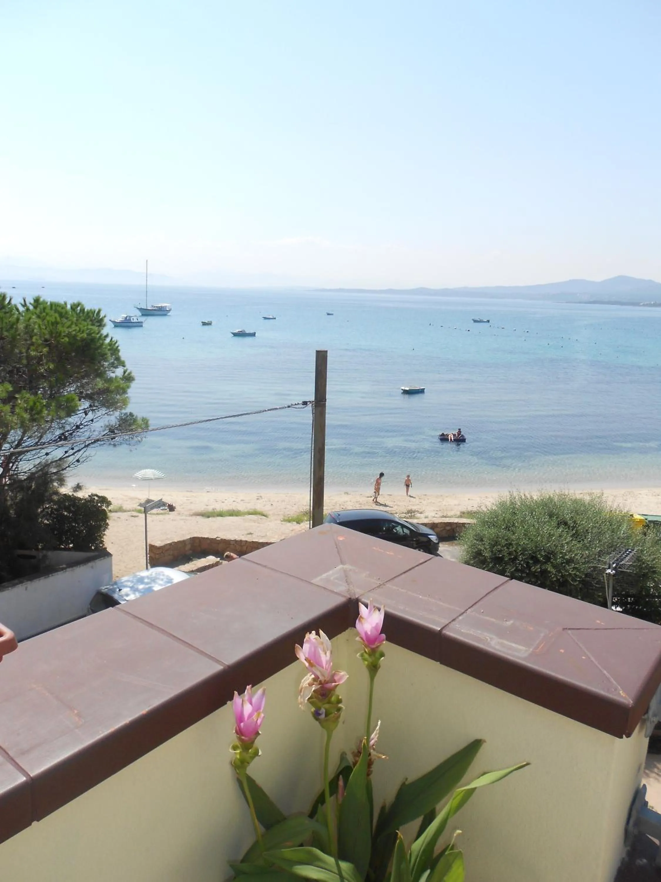 Balcony/Terrace in Hotel Tabby